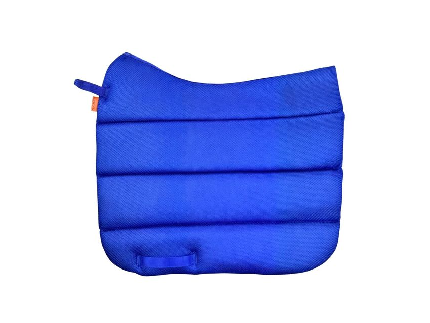 Air Work Pad Dressage view