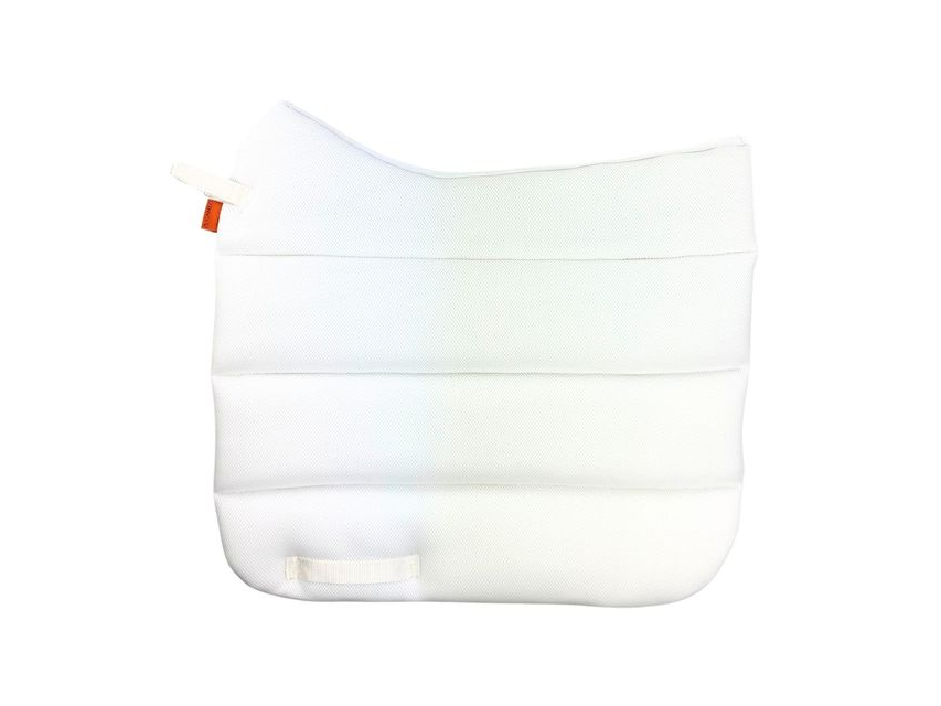 Air Work Pad Dressage view