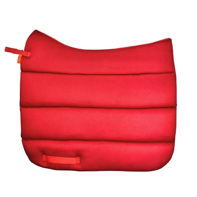 Air Work Pad Dressage