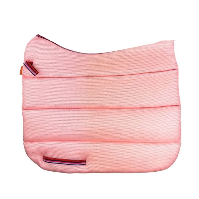 Air Work Pad Dressage
