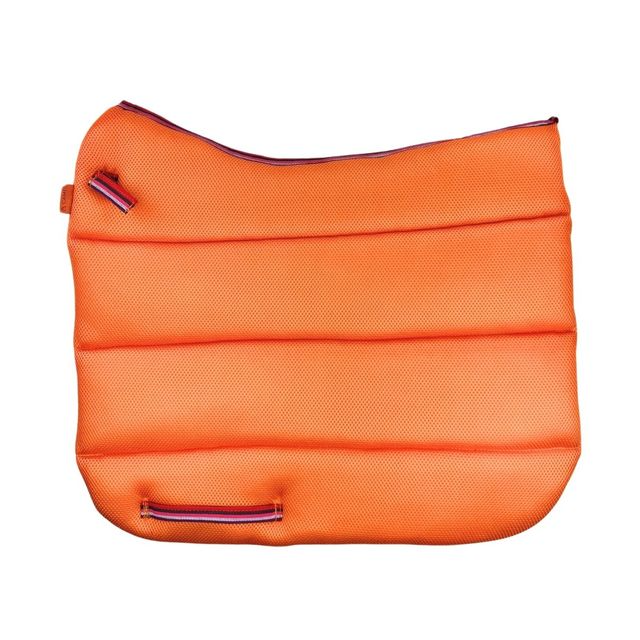Air Work Pad Dressage
