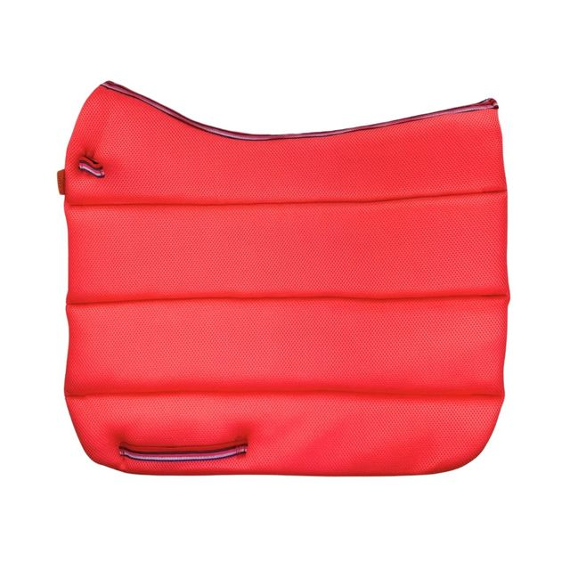 Air Work Pad Dressage