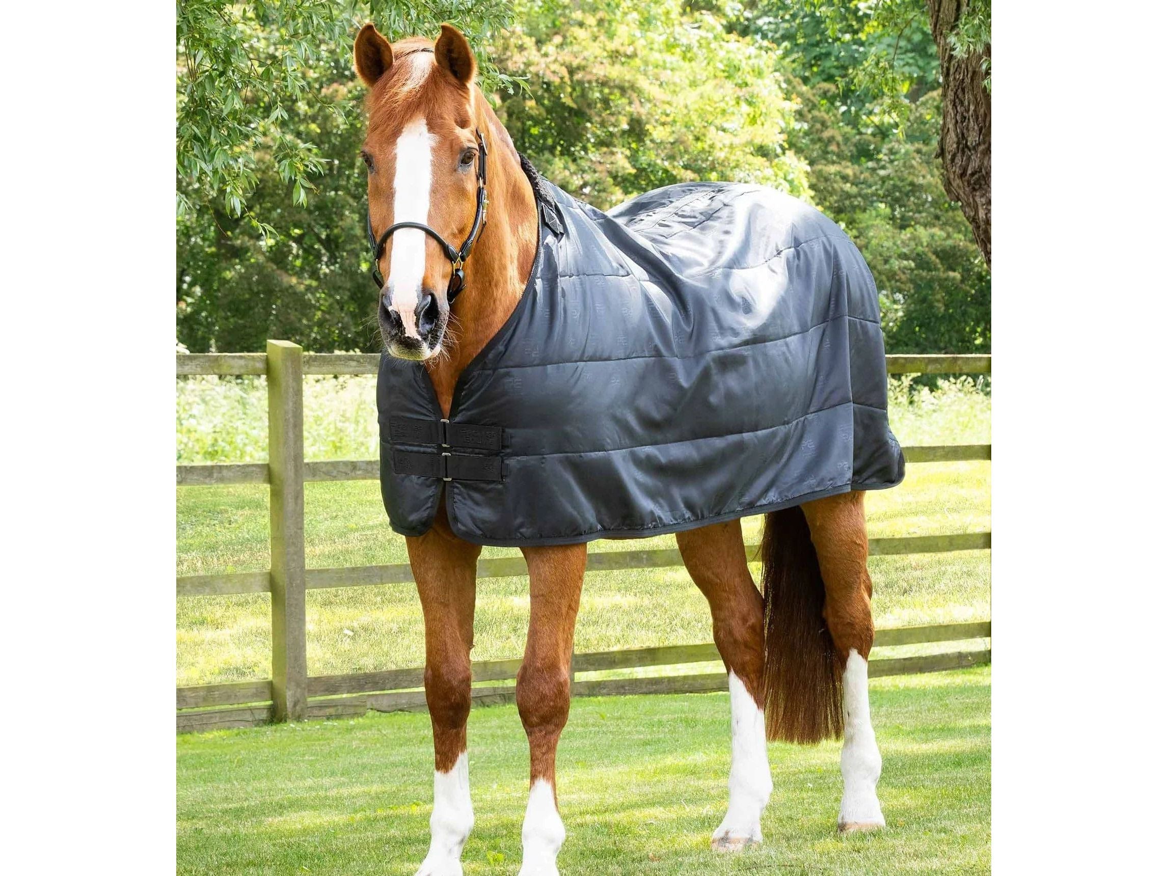 Premier Equine 50g Horse Rug Liner