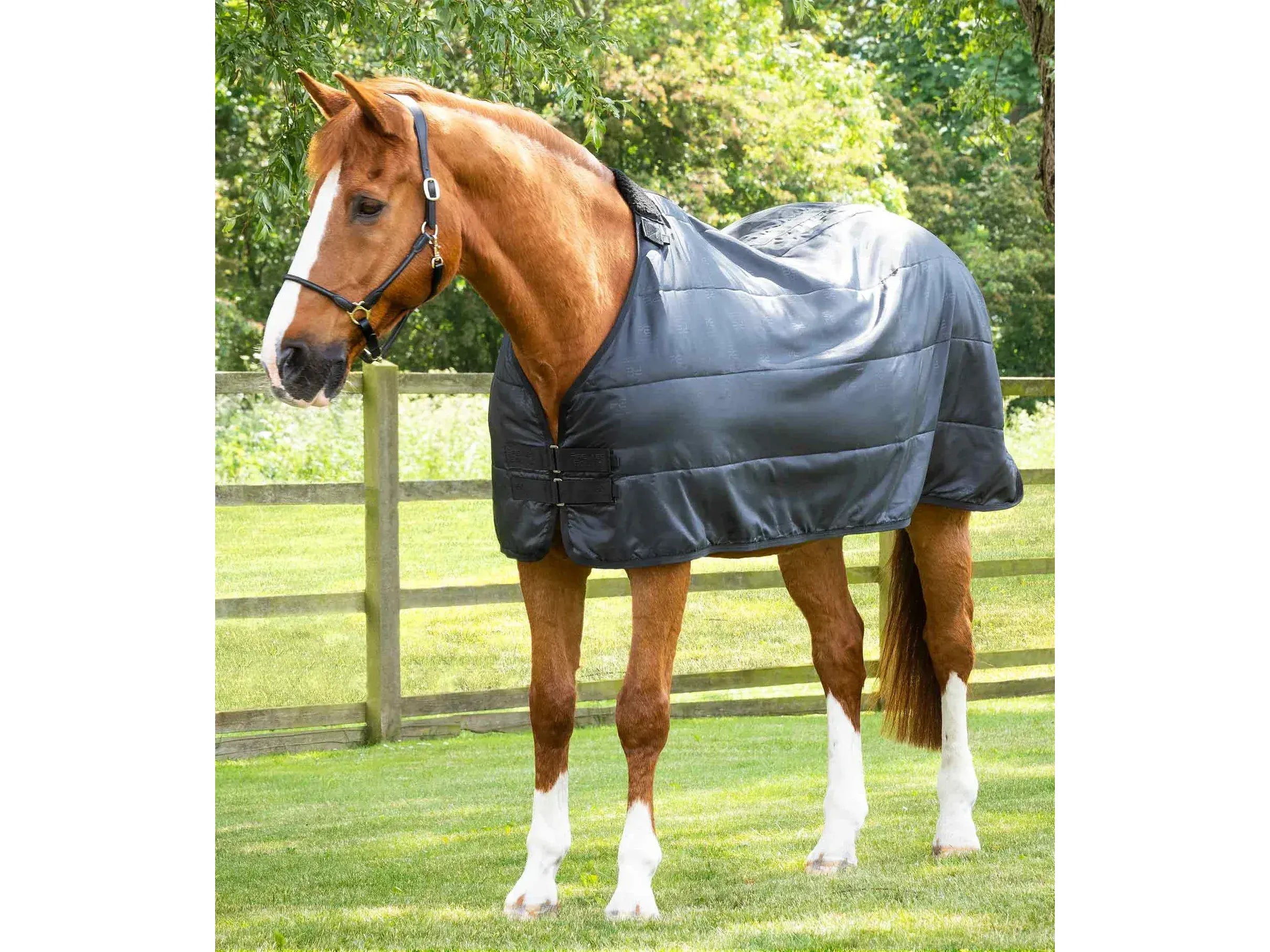Premier Equine 50g Horse Rug Liner