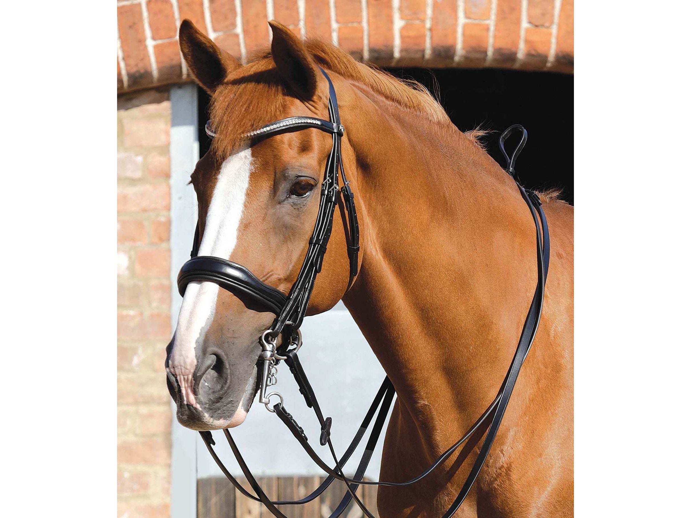 Premier Equine Abriano Anatomic Double Bridle Black