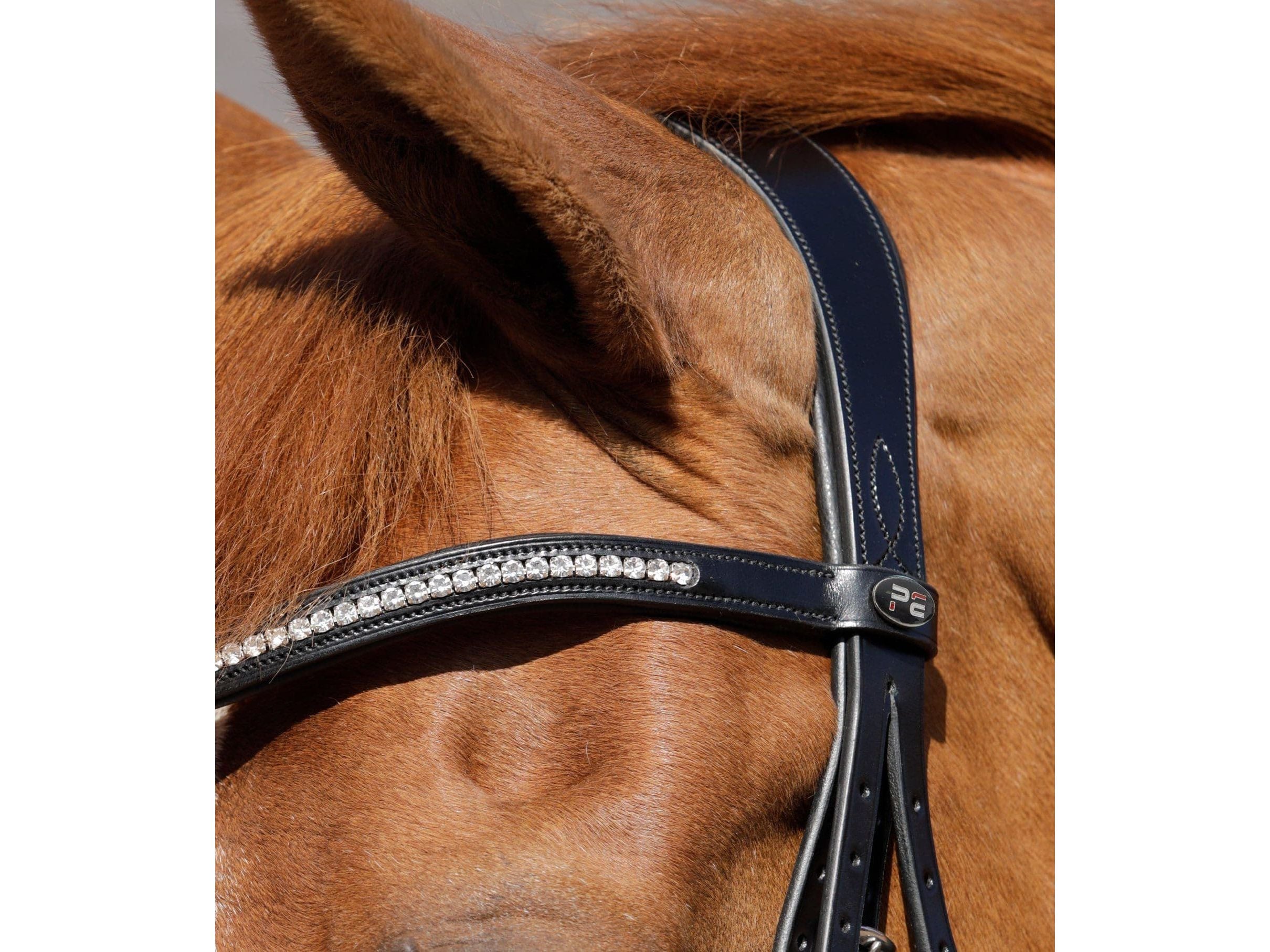 Premier Equine Abriano Anatomic Double Bridle Black