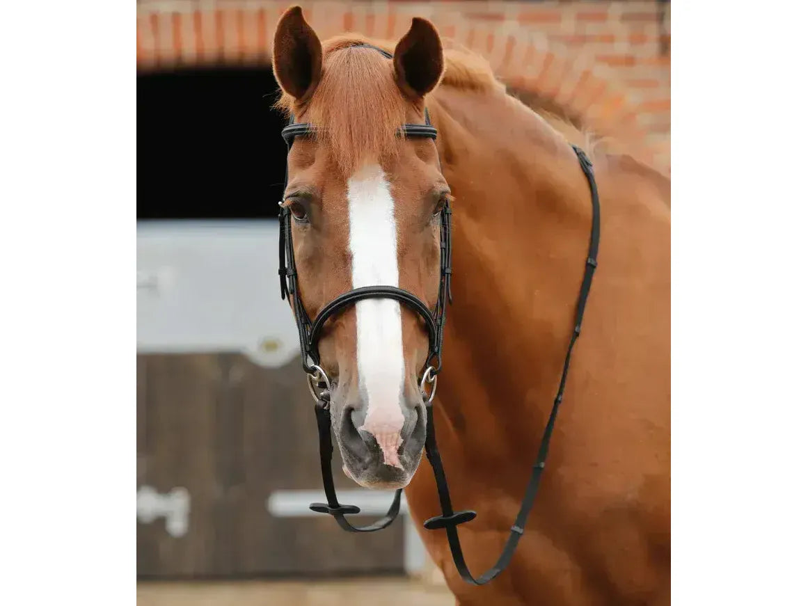 Premier Equine Altare Web Reins