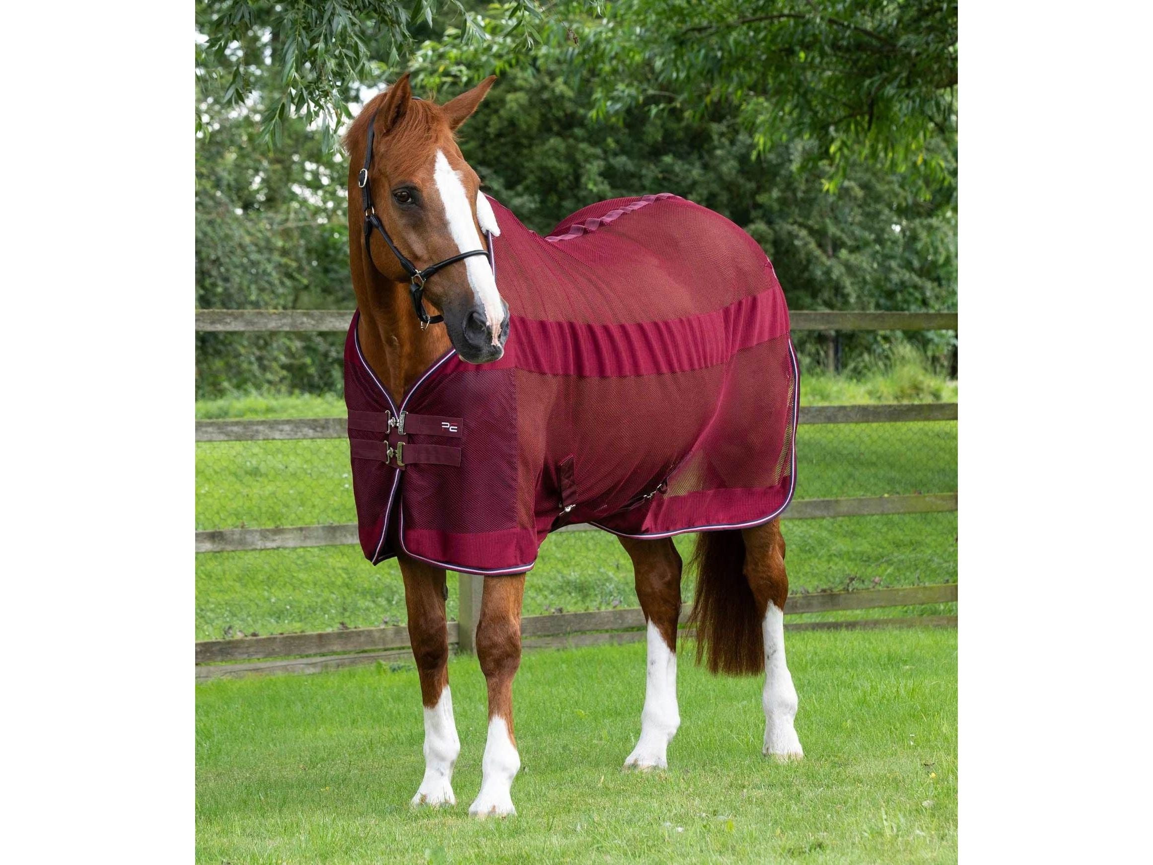 Premier Equine Arisca Scrim Cooler Rug