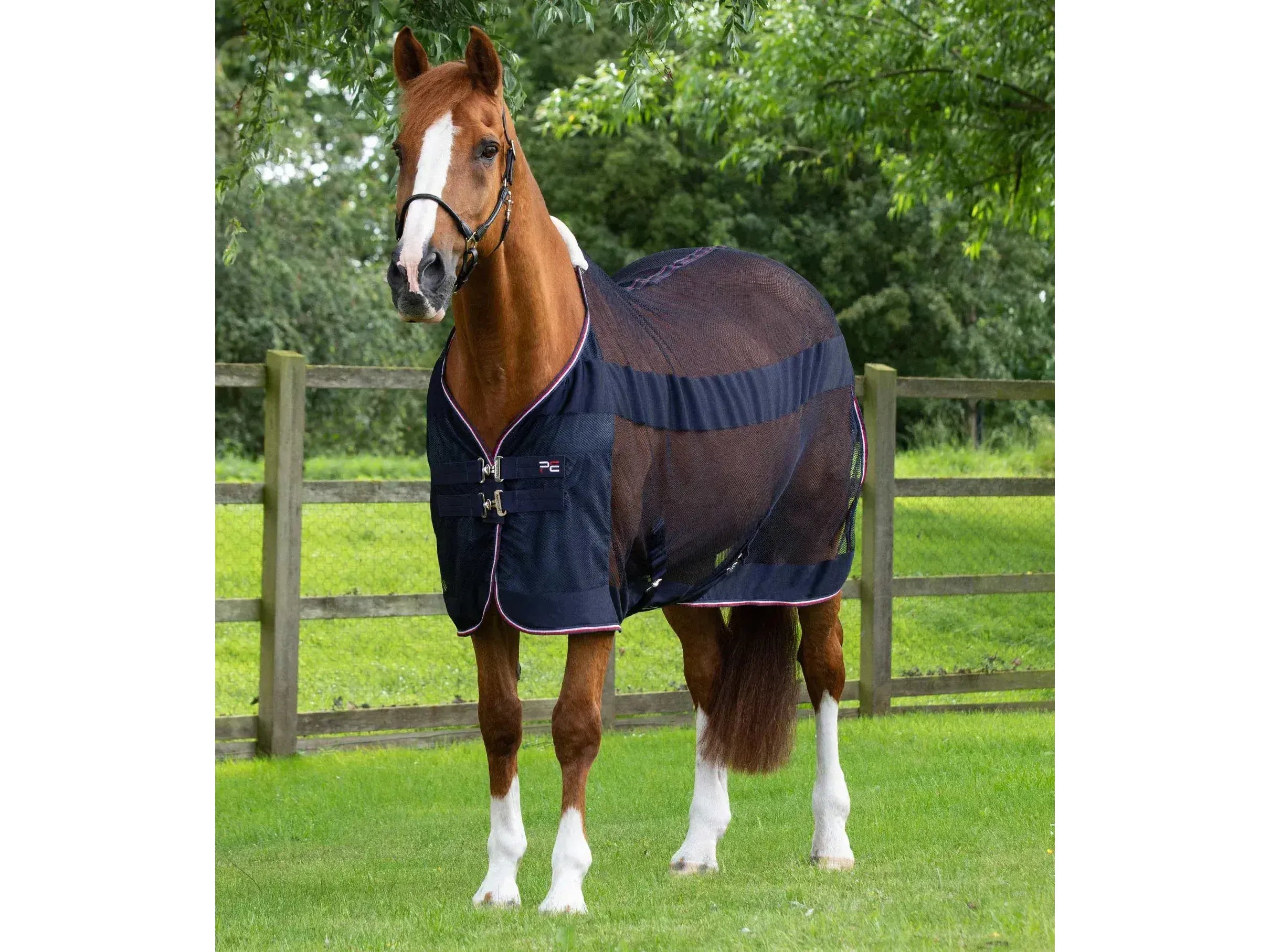 Premier Equine Arisca Scrim Cooler Rug