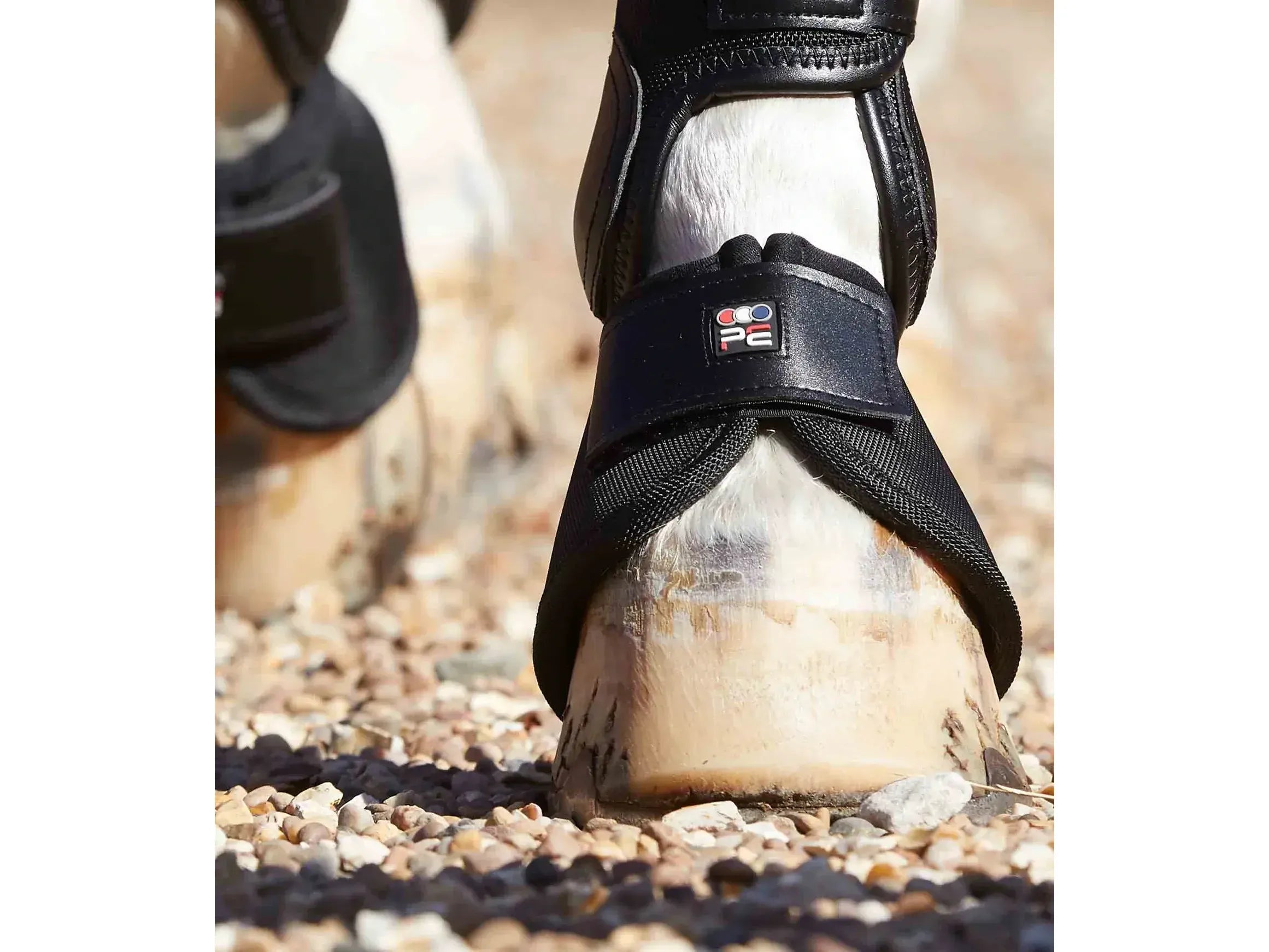 Premier Equine Ballistic No Turn Over Reach Boots