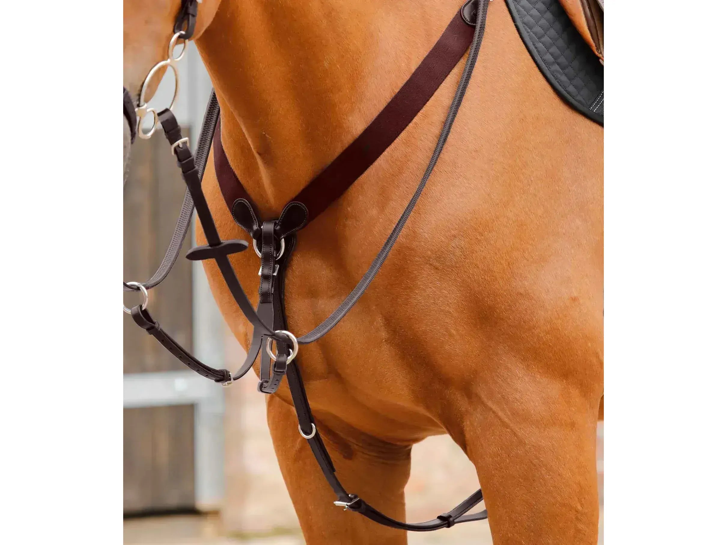 Premier Equine Baressa Jumping Breastplate