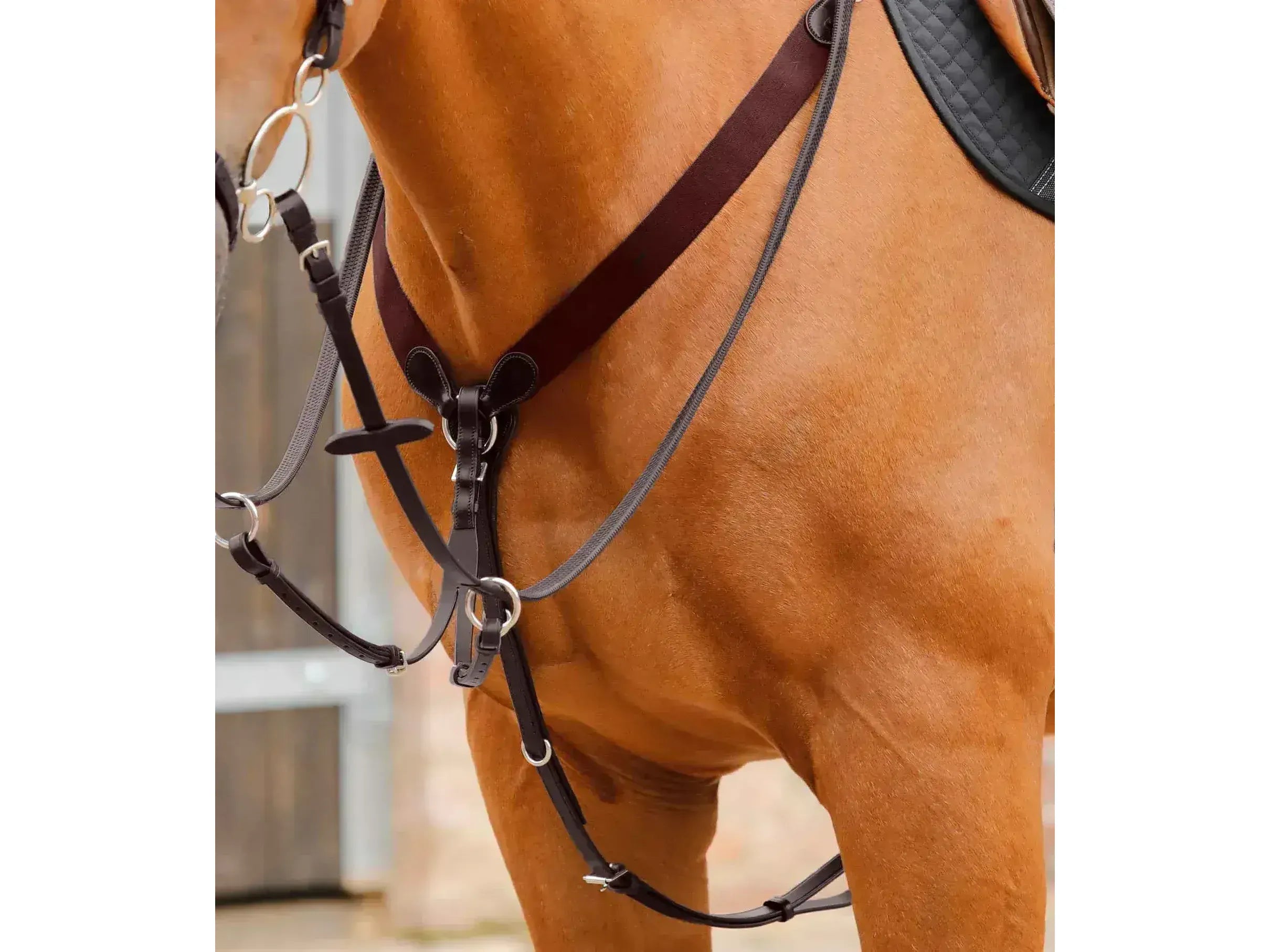 Premier Equine Baressa Jumping Breastplate