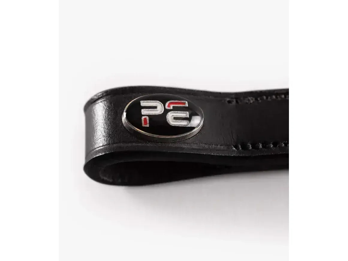 Premier Equine Bergamo Shaped Diamante Browband