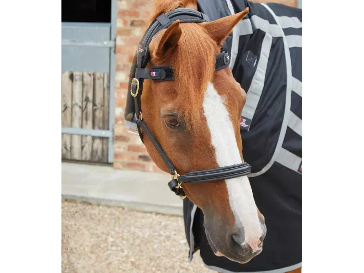 Premier Equine Bi-Polar Magni-Teque Browband