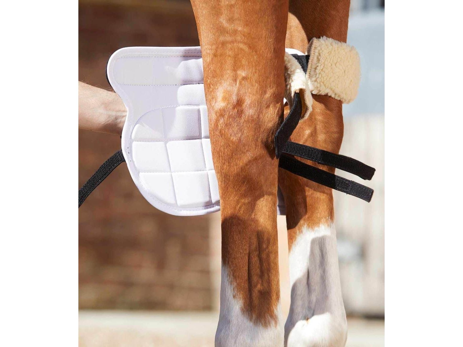 Premier Equine Bi-Polar Magni-Teque Horse Knee Boots