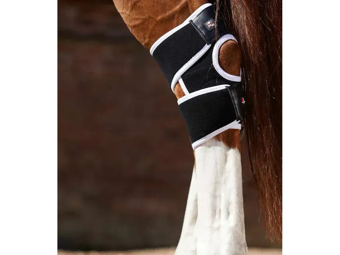 Premier Equine Bi-Polar Magni-Teque Magnetic Hock Boots