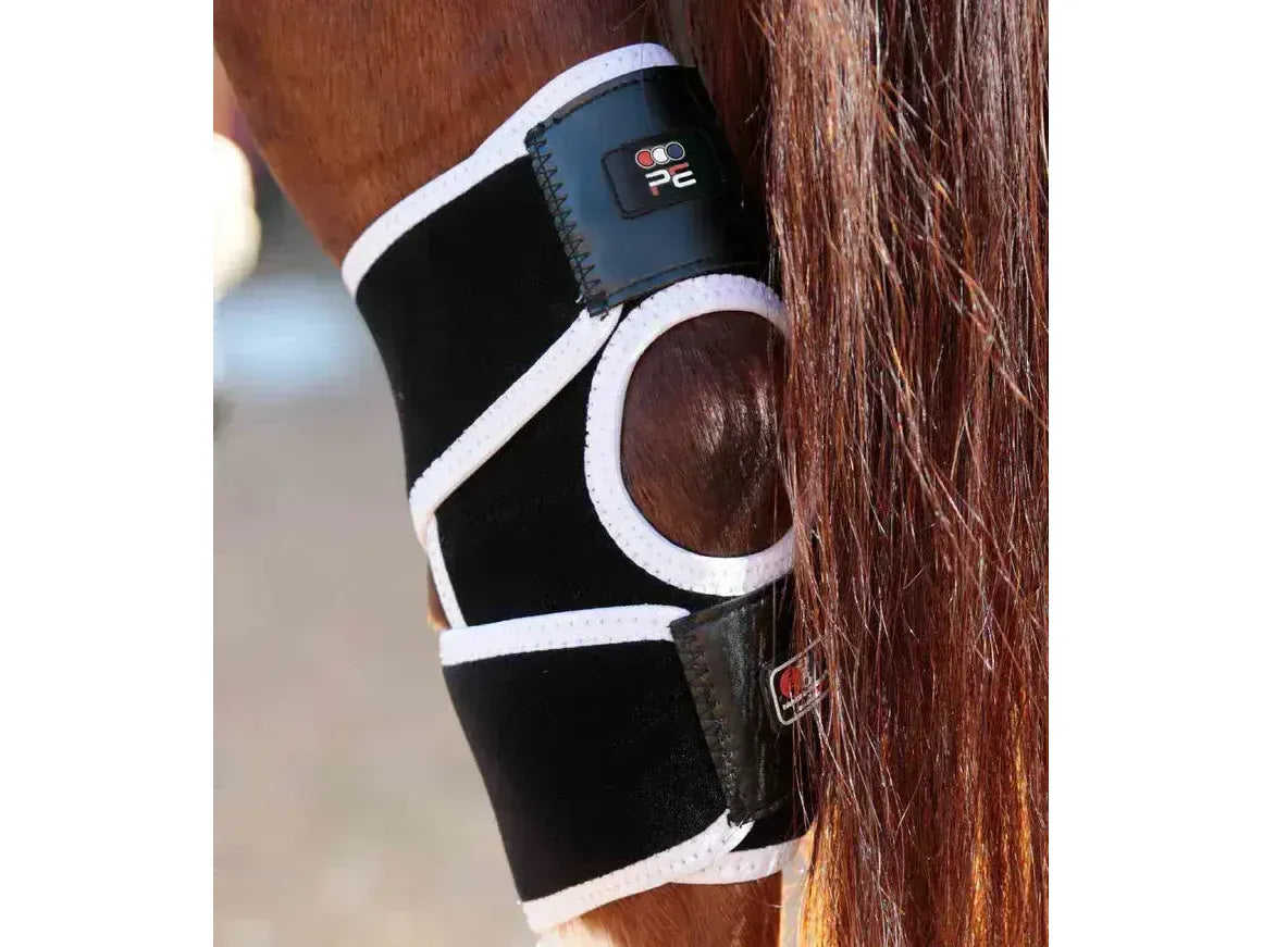 Premier Equine Bi-Polar Magni-Teque Magnetic Hock Boots