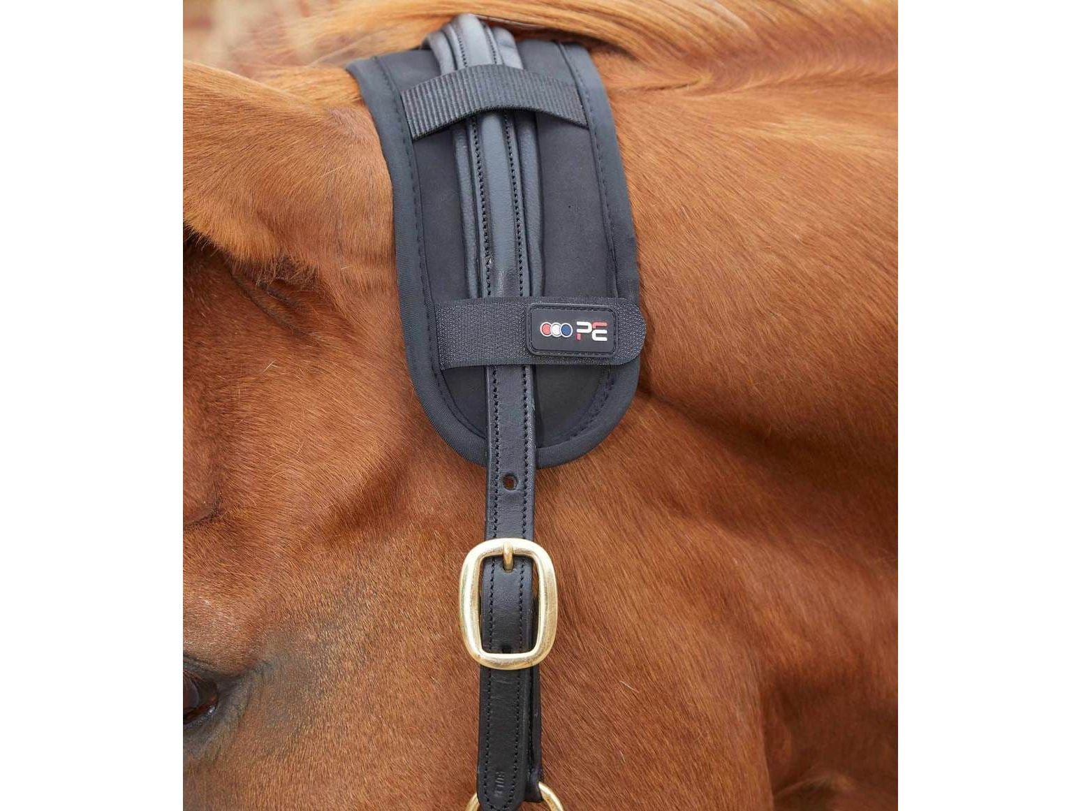 Premier Equine Bi-Polar Magni-Teque Poll Band