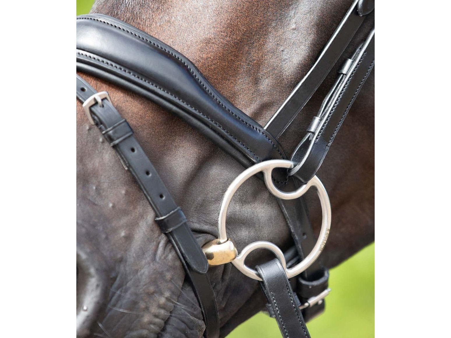 Premier Equine Brass Alloy Bevel Bit with Lozenge