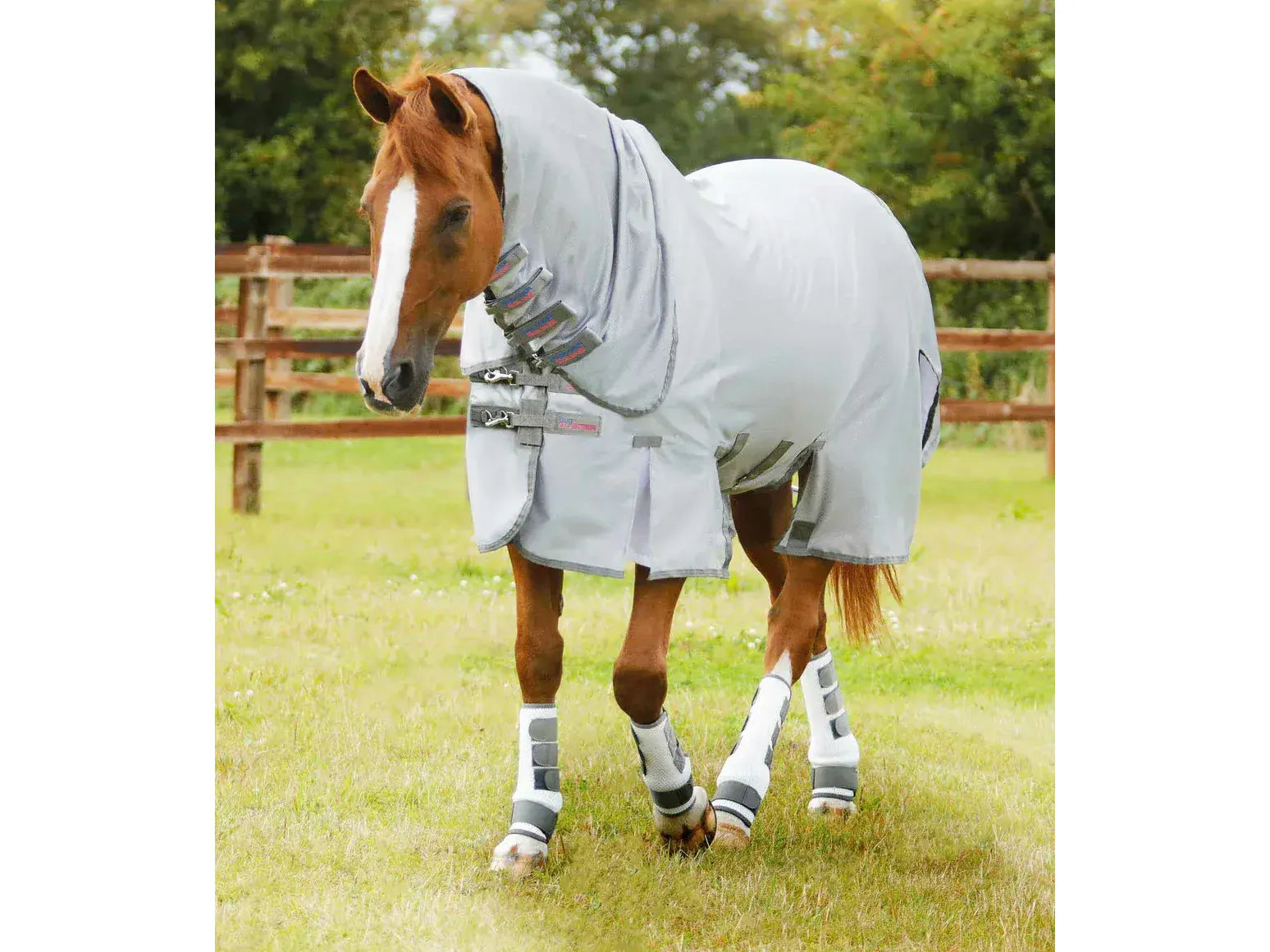 Premier Equine Bug Buster Fly Rug with Belly Flap