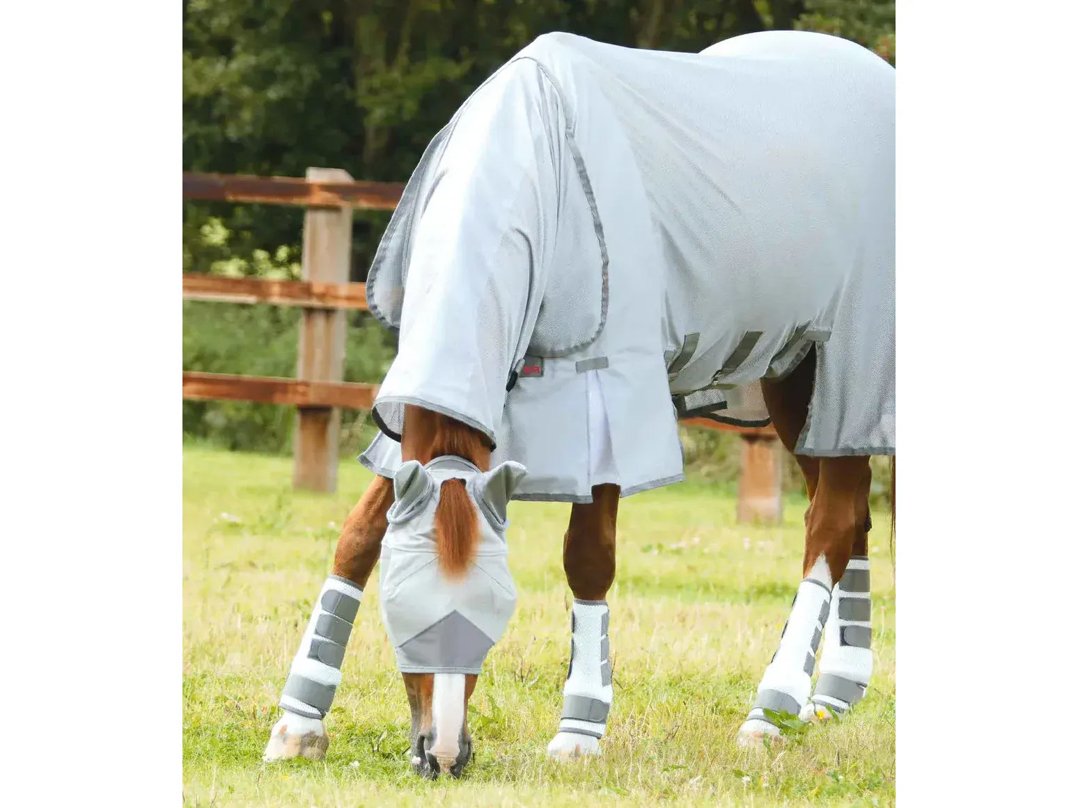 Premier Equine Bug Buster Fly Rug with Belly Flap