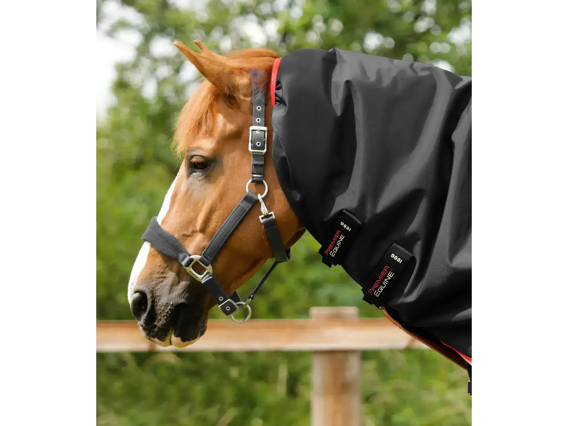 Premier Equine Buster 100g Turnout Rug with Snug-Fit Neck Cover