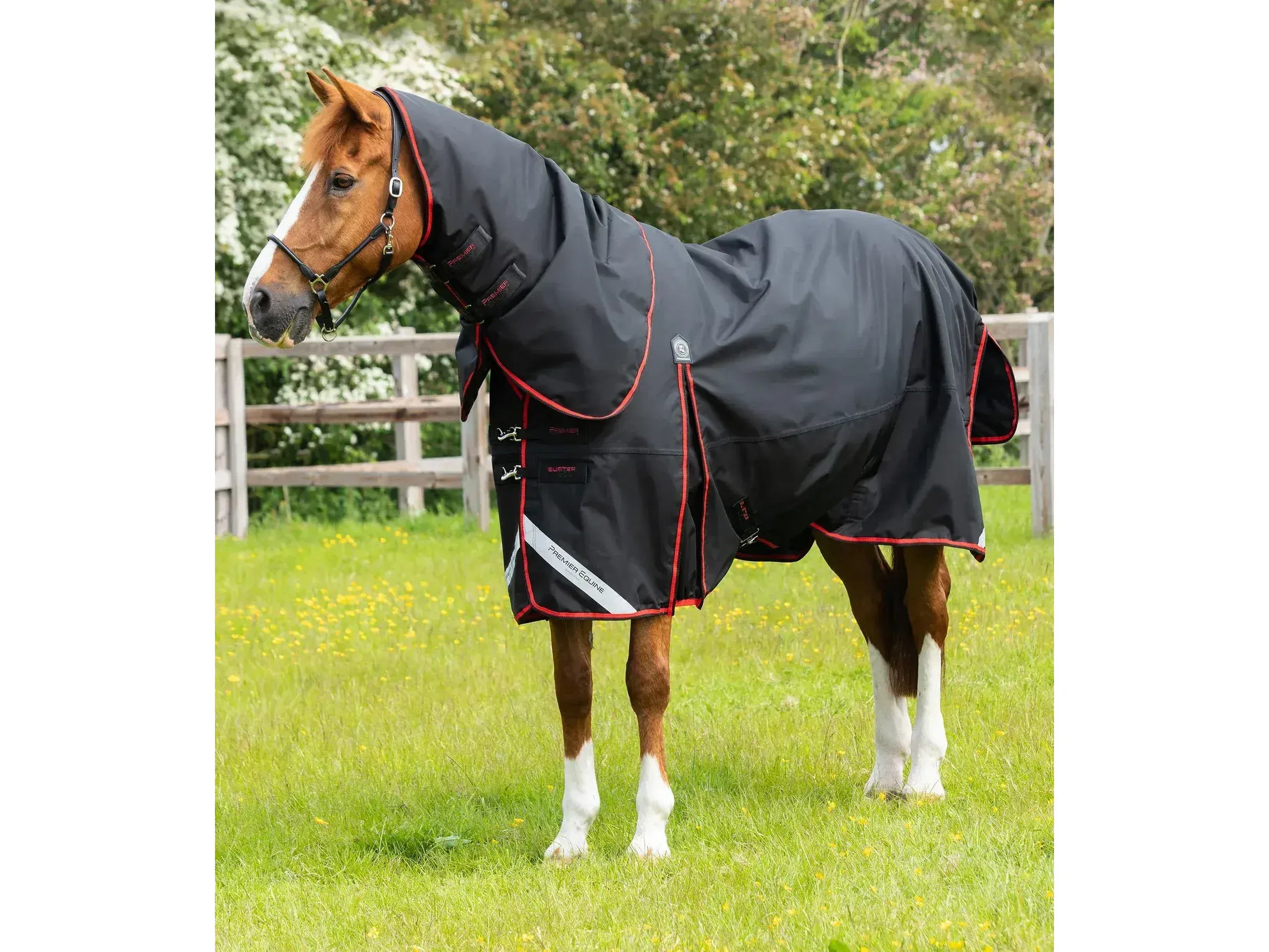 Premier Equine Buster 250g Turnout Rug with Classic Neck Cover