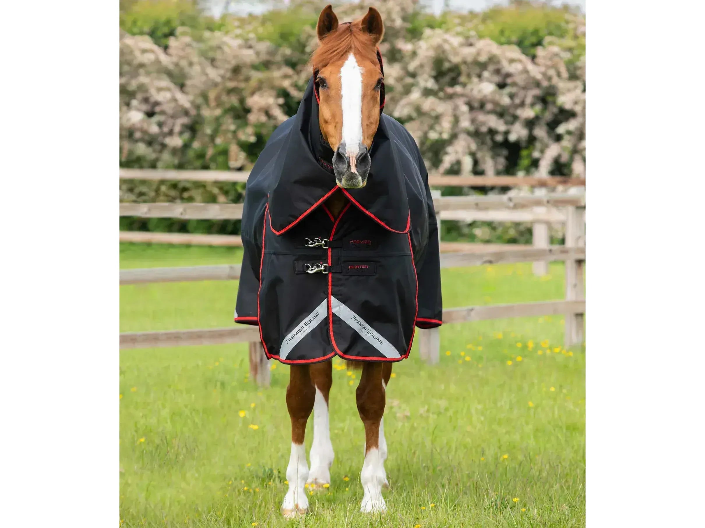 Premier Equine Buster 250g Turnout Rug with Classic Neck Cover