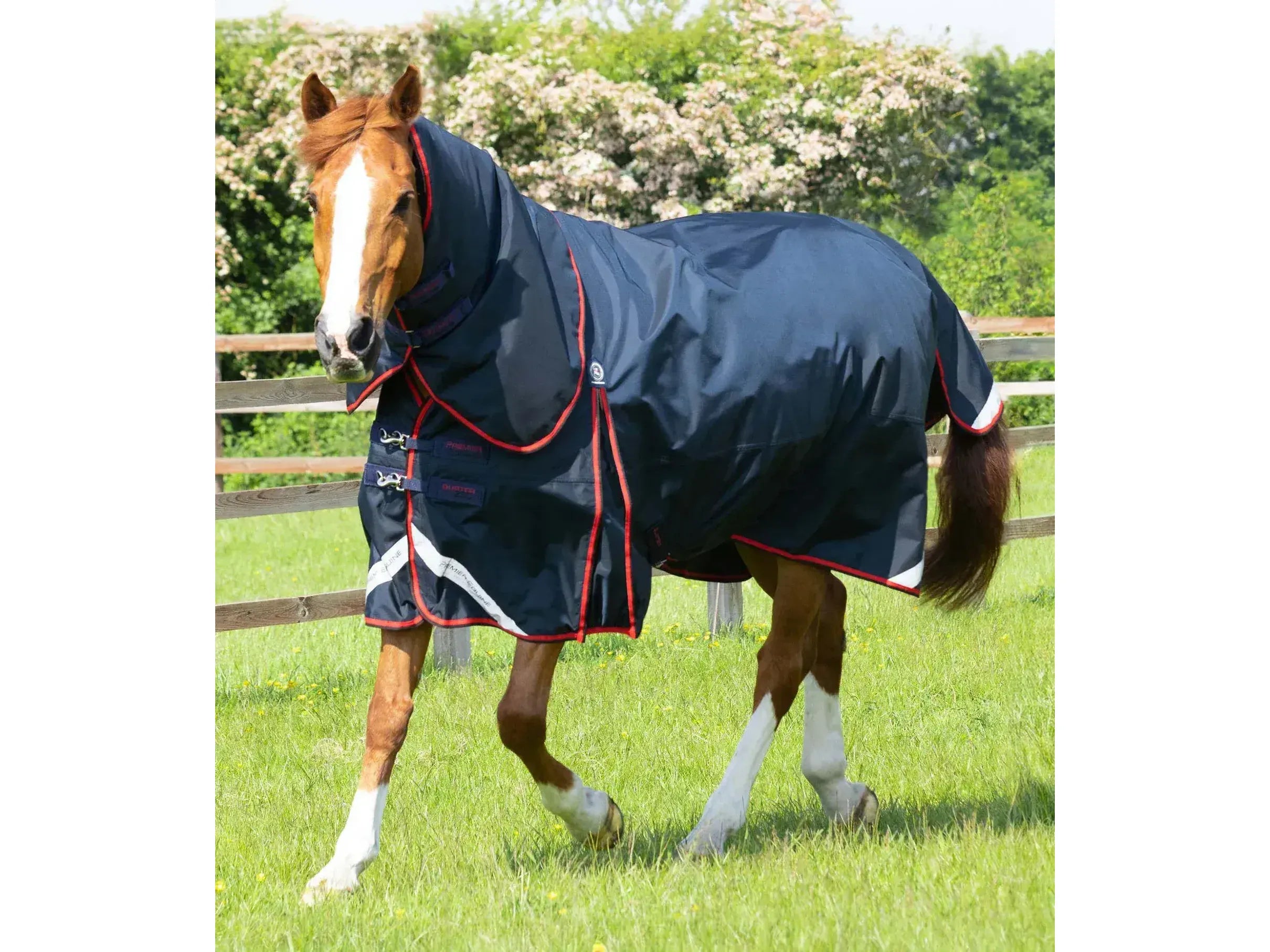 Premier Equine Buster 250g Turnout Rug with Classic Neck Cover