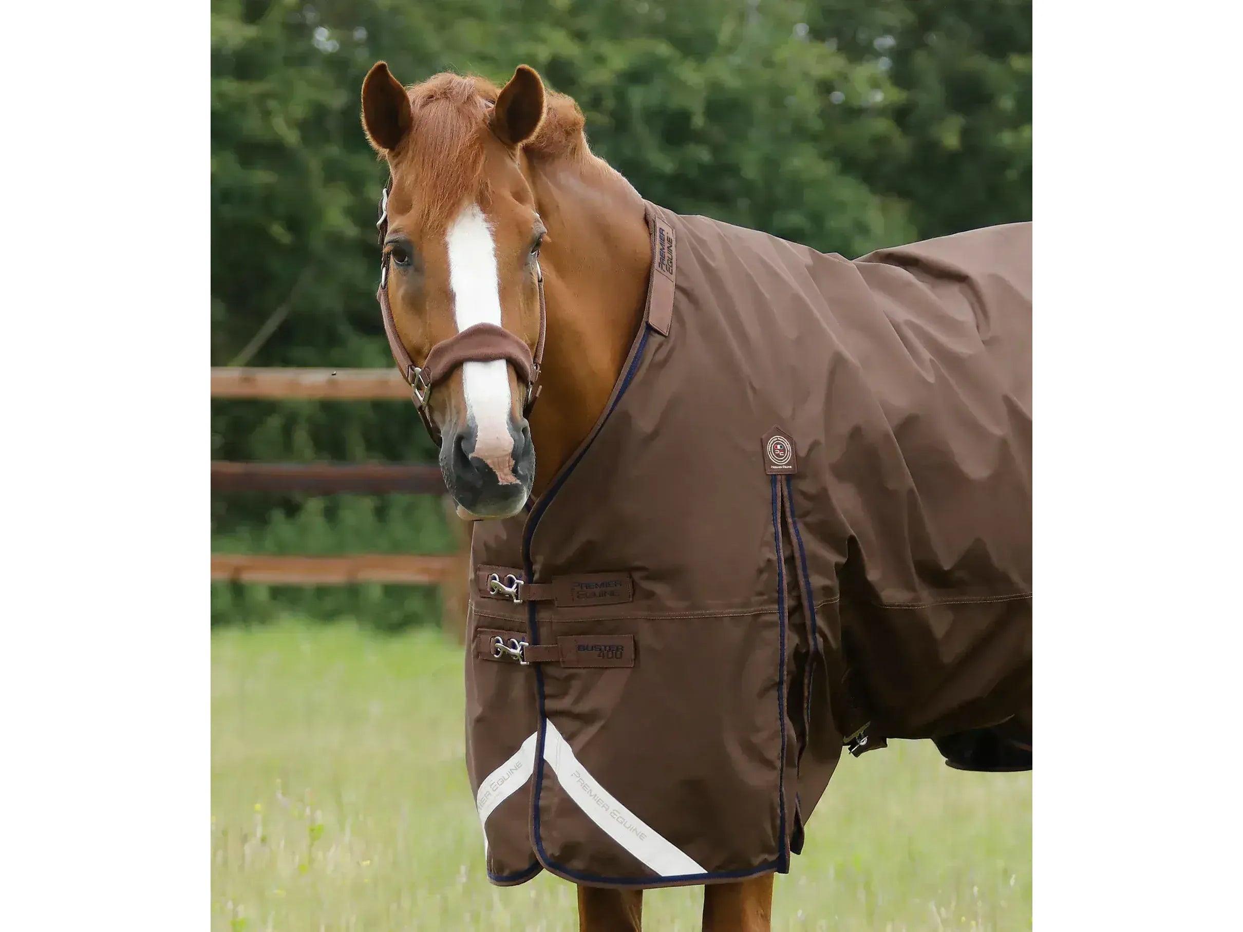 Premier Equine Buster 400g Turnout Rug with Snug-Fit Neck Cover