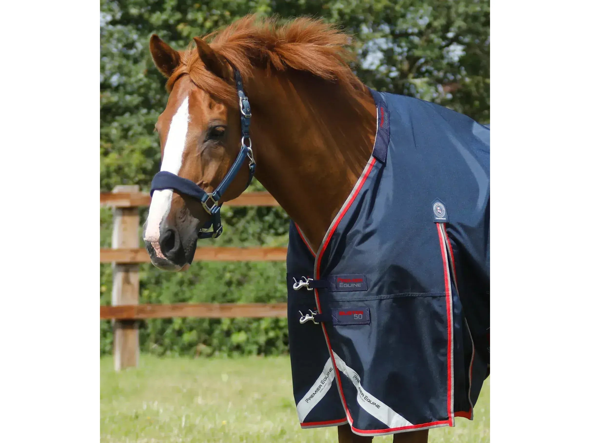 Premier Equine Buster 50g Turnout Rug with Snug-Fit Neck Cover