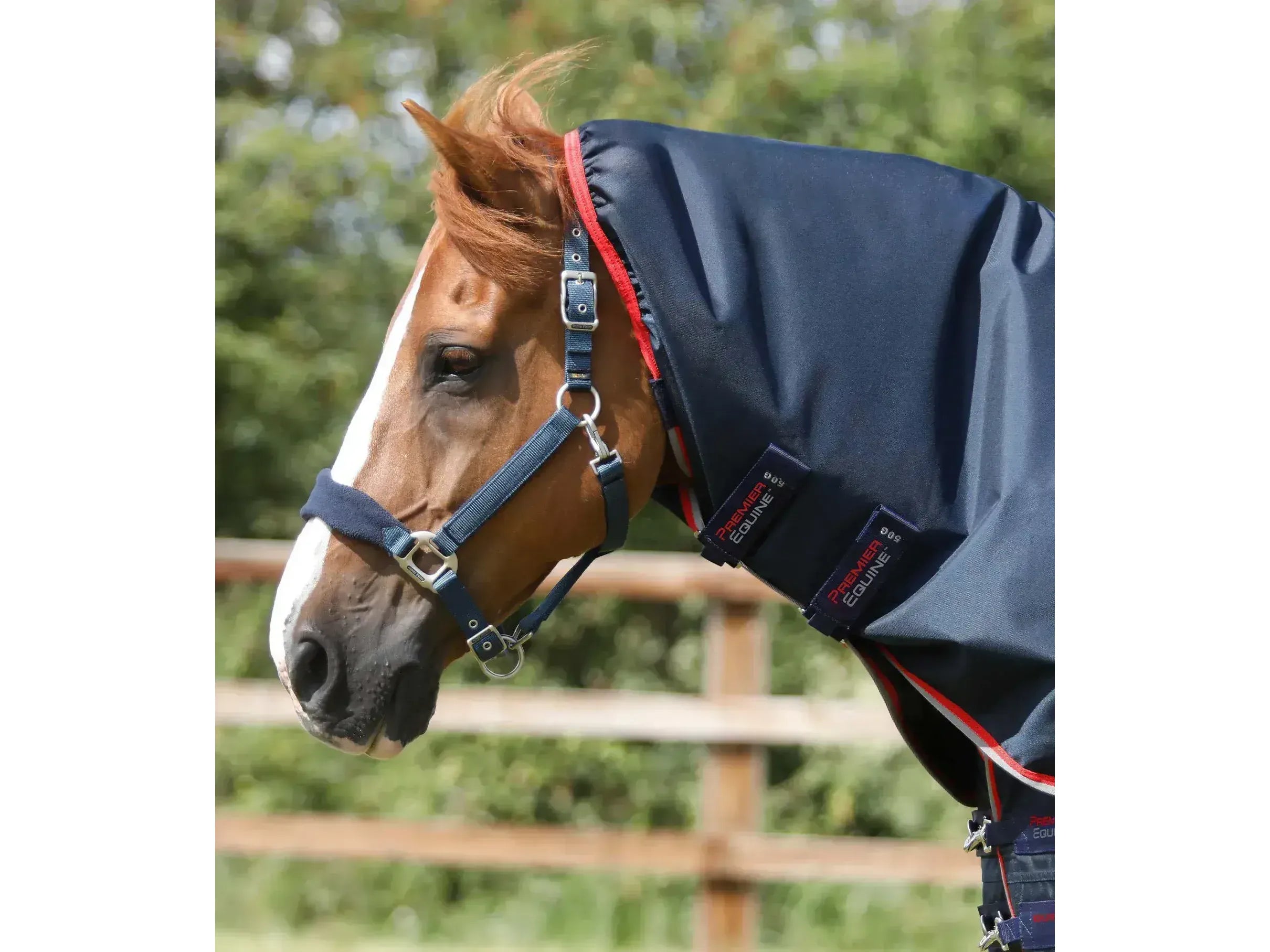 Premier Equine Buster 50g Turnout Rug with Snug-Fit Neck Cover