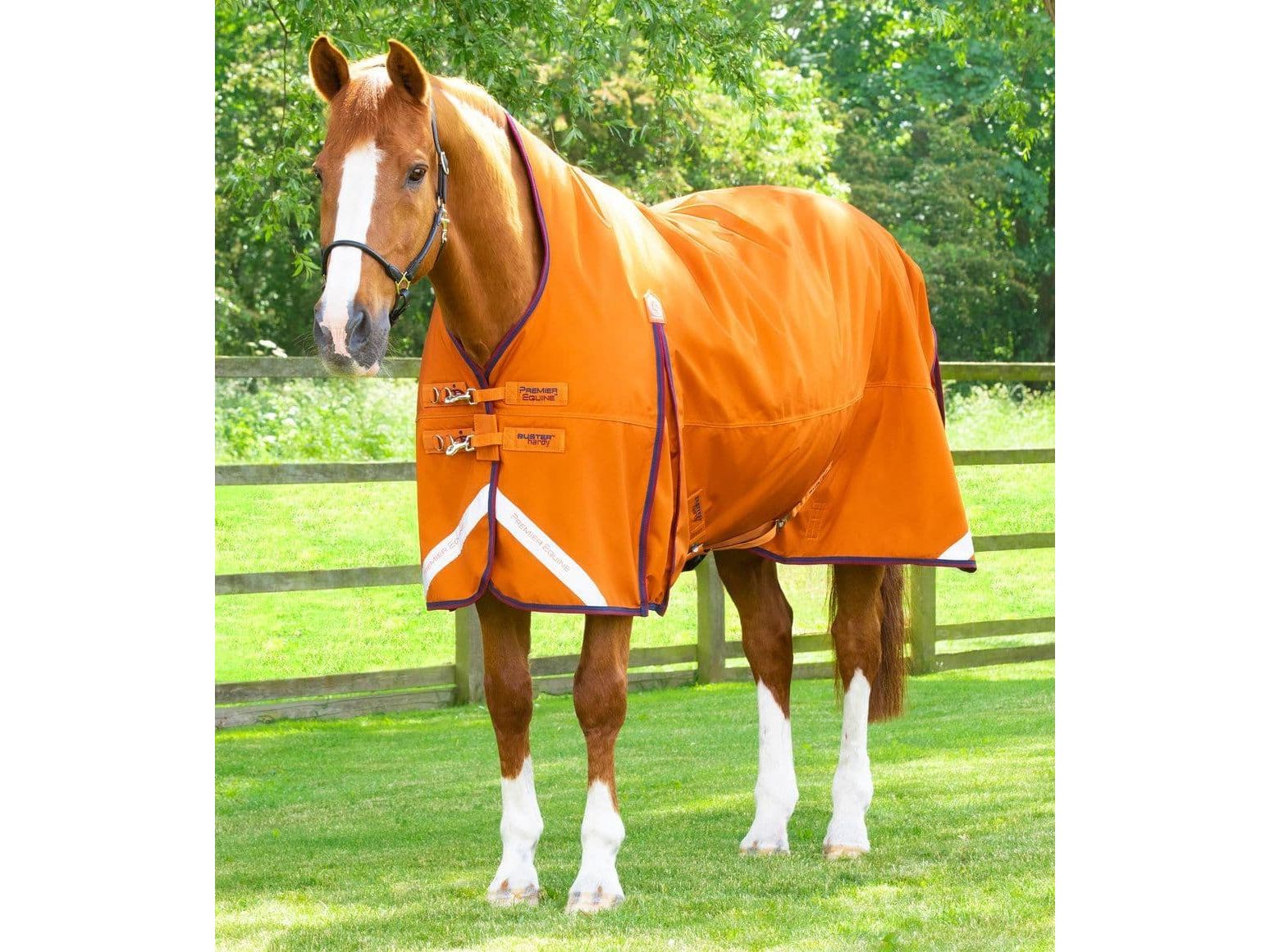 Premier Equine Buster Hardy 200g Half Neck Turnout Rug