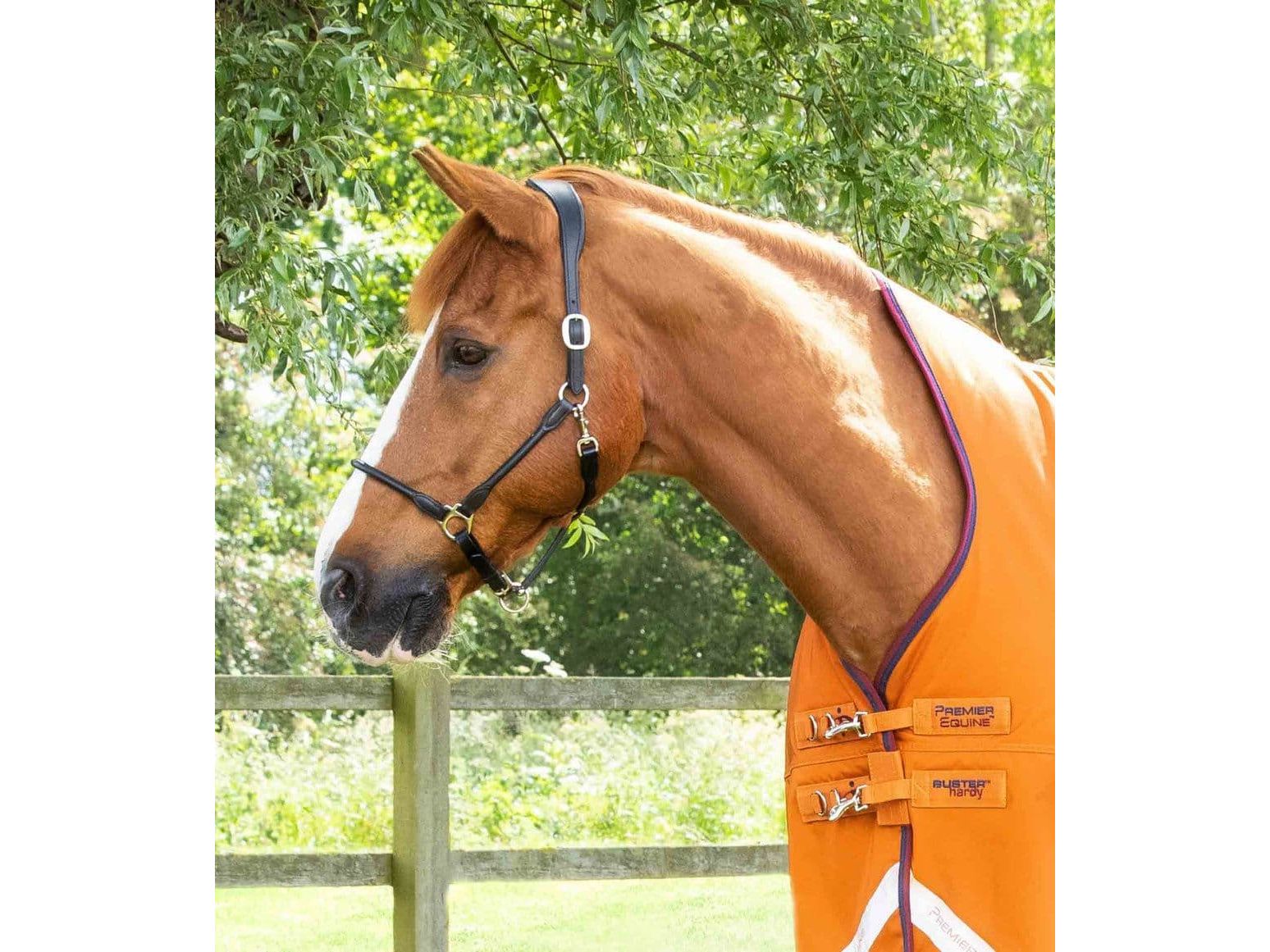 Premier Equine Buster Hardy 200g Half Neck Turnout Rug