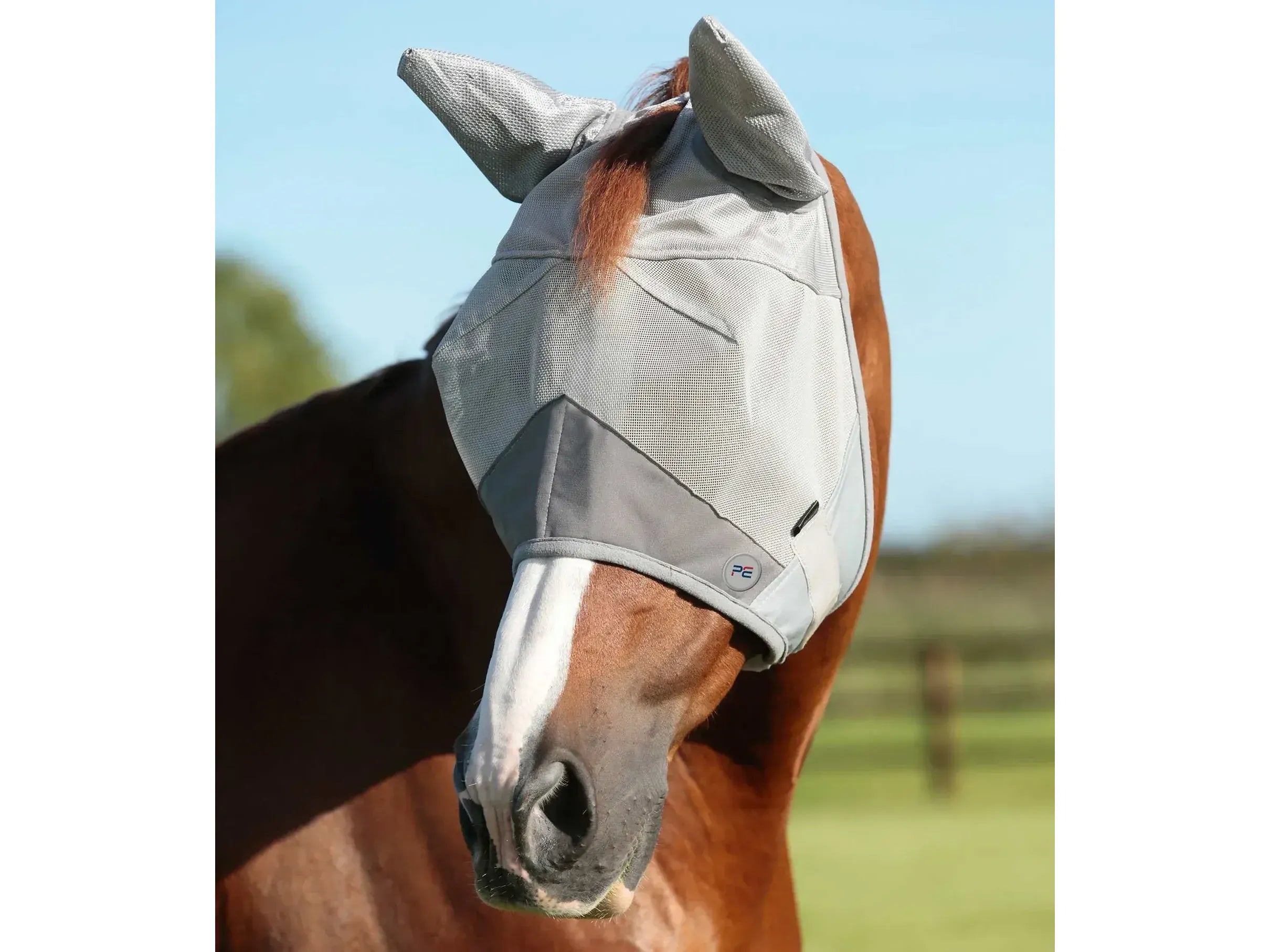 Premier Equine Buster Mask: Standard Plus