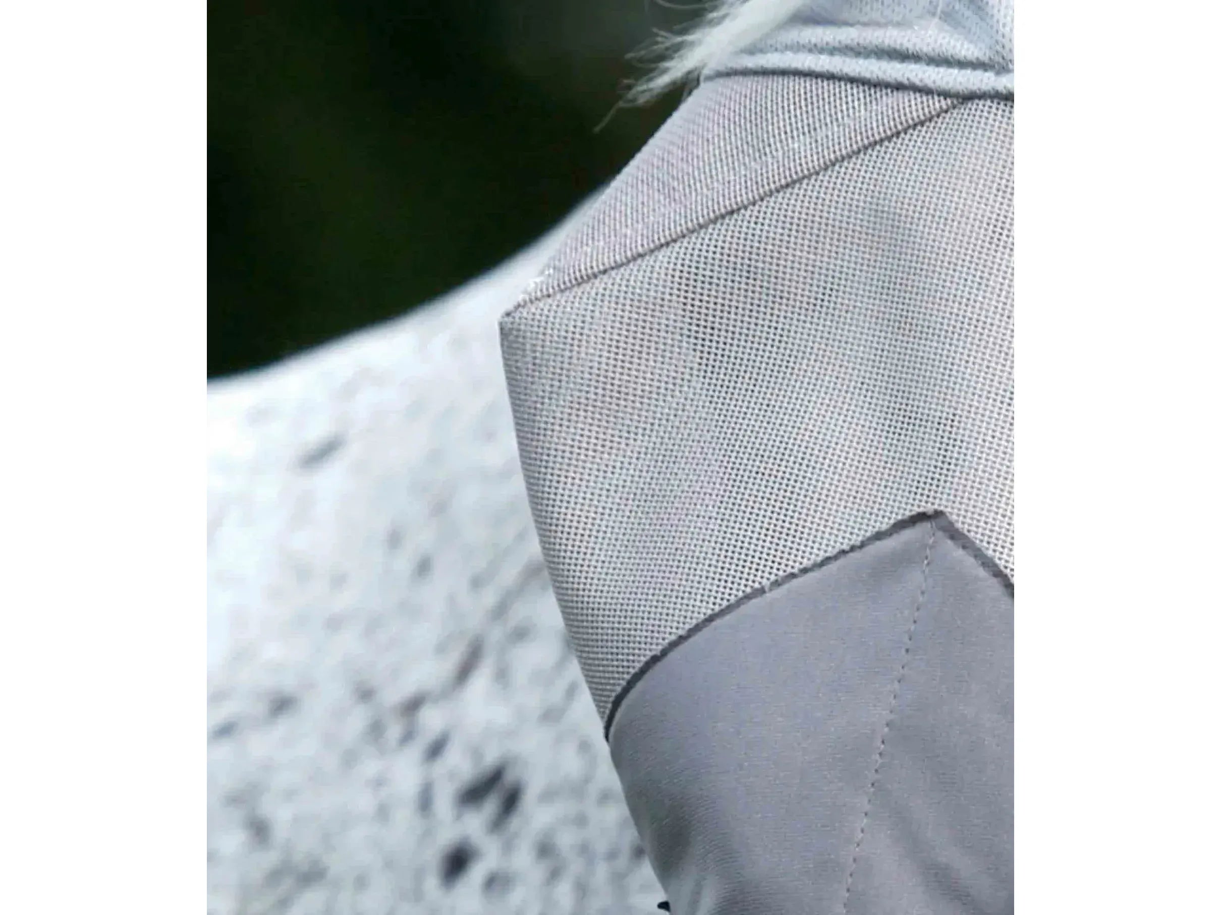 Premier Equine Buster Mask: Xtra