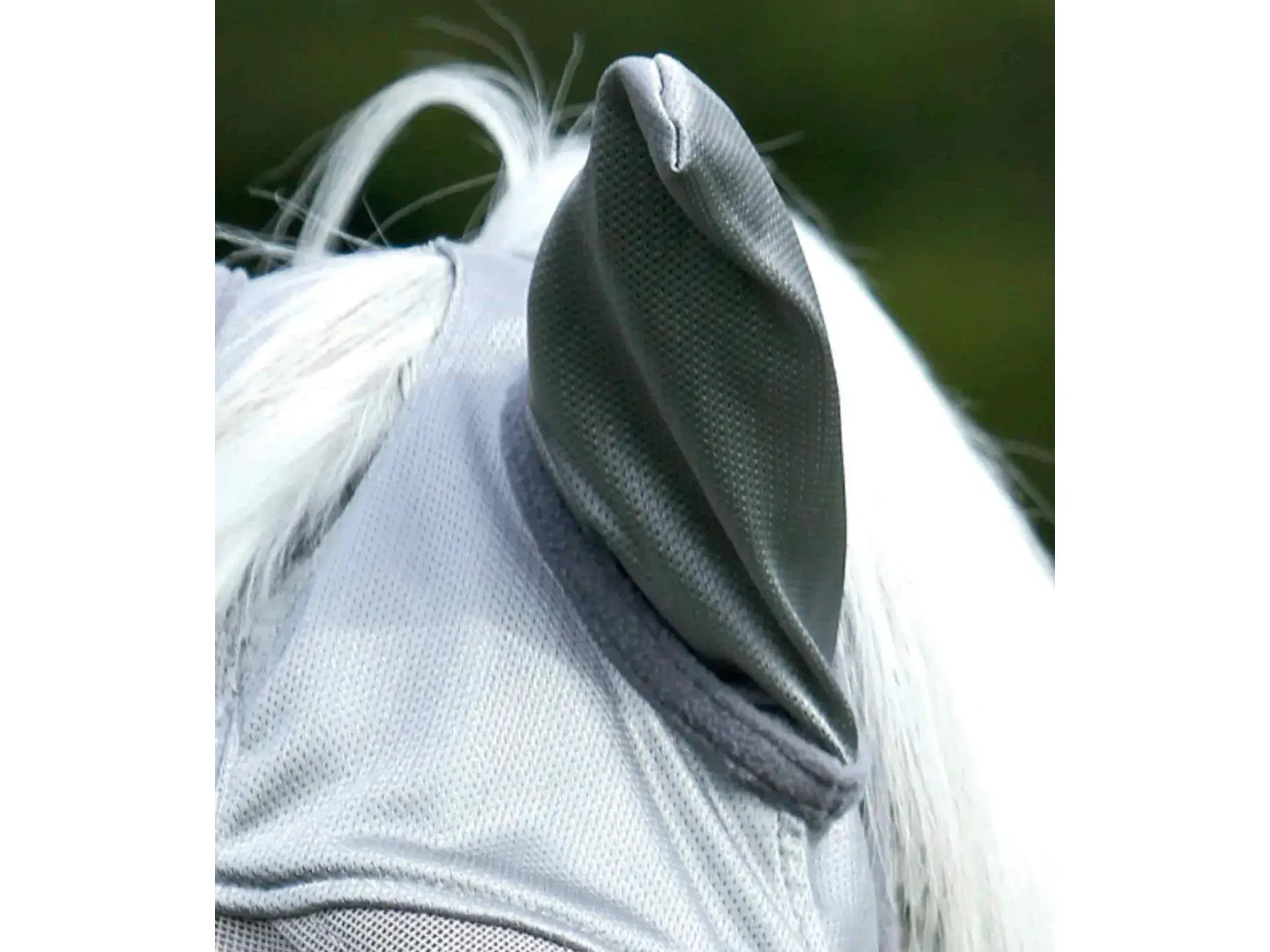 Premier Equine Buster Mask: Xtra