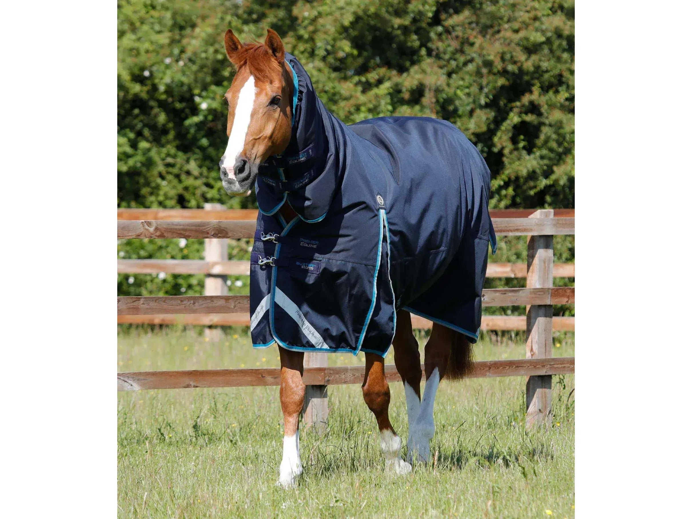 Premier Equine Buster Storm 100g Turnout Rug