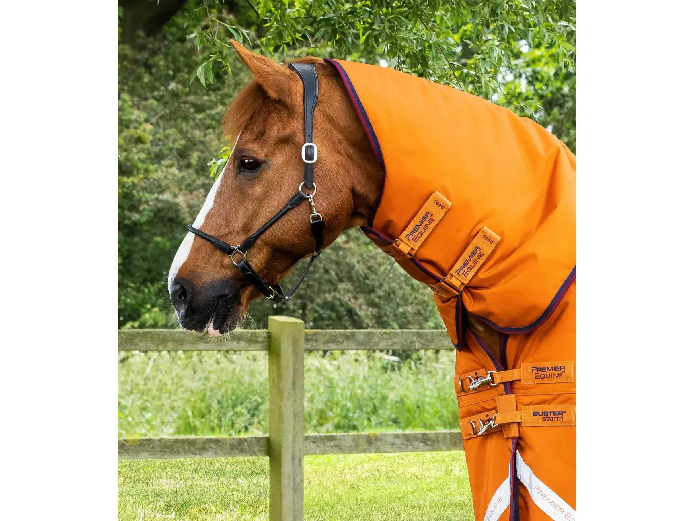 Premier Equine Buster Storm 200g Combo Turnout Rug with Classic Neck
