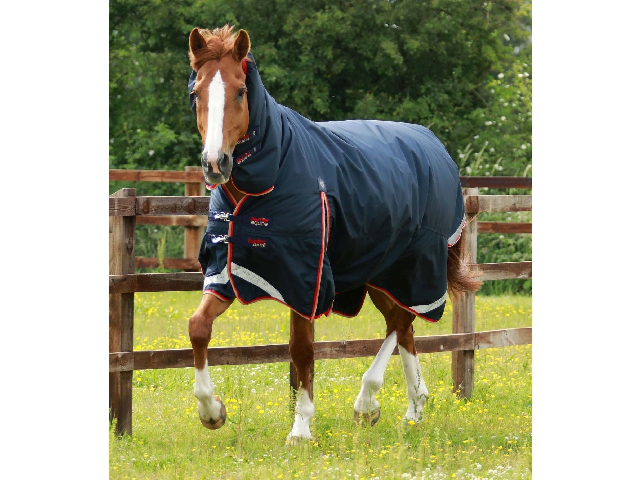 Premier Equine Buster Storm 200g Combo Turnout Rug with Snug-Fit Neck