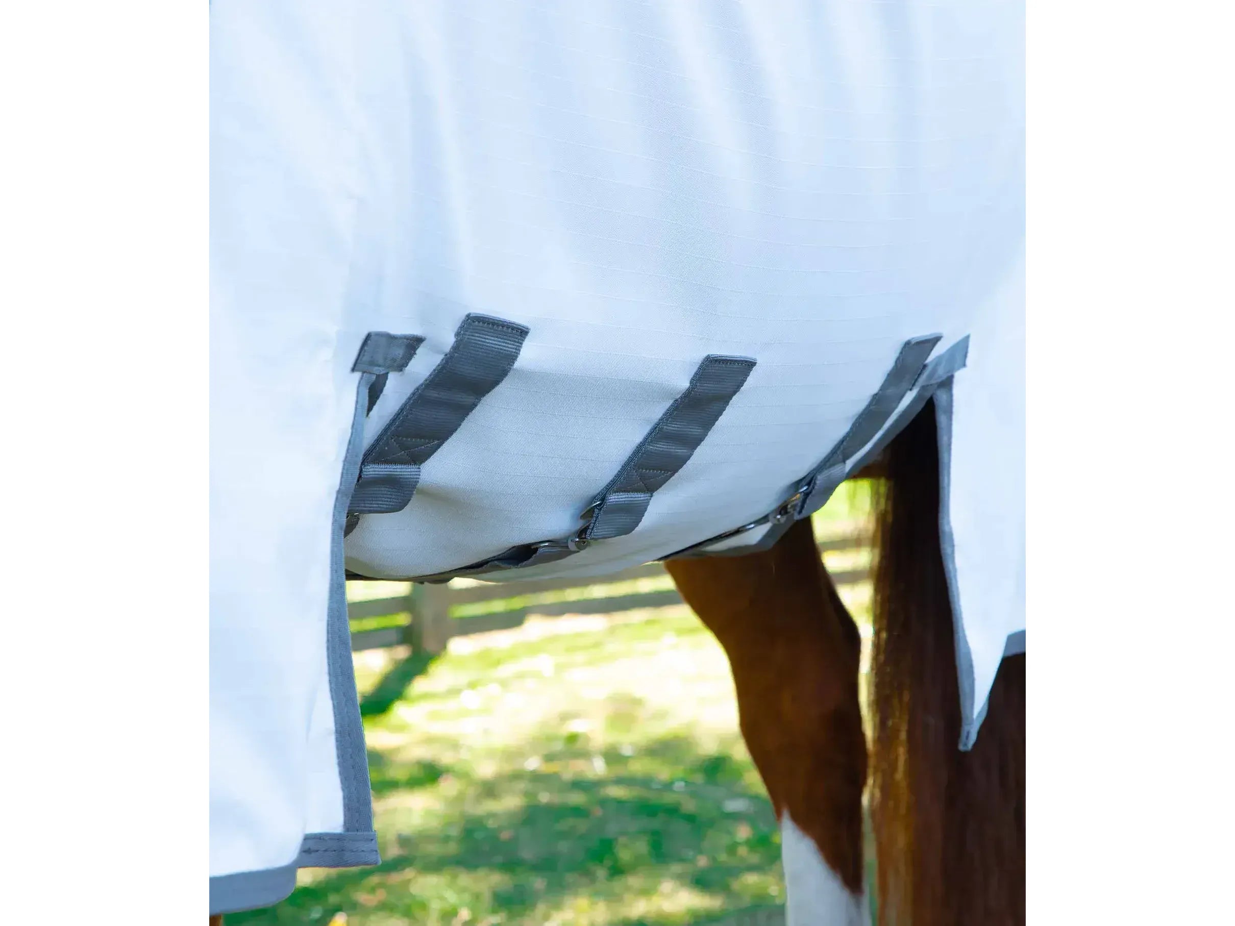 Premier Equine Buster Sweet Itch with Belly Flap