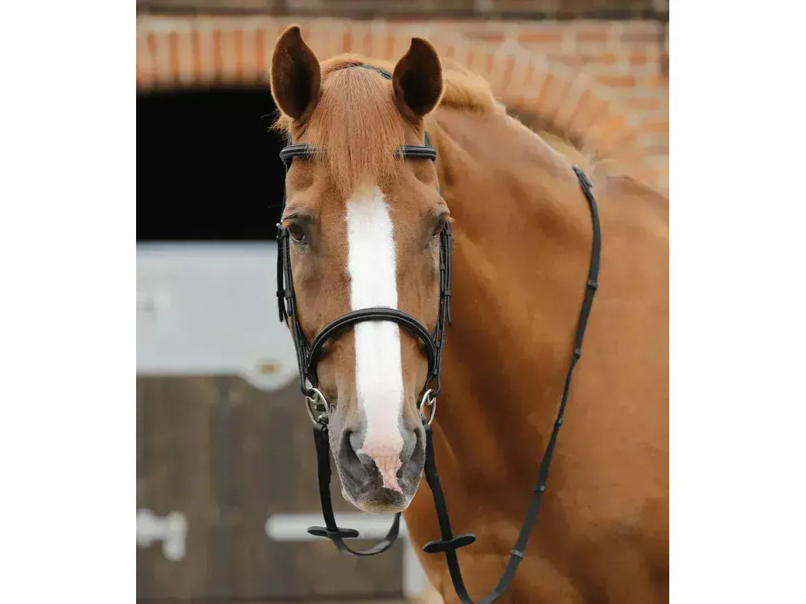 Premier Equine Caloveto Web Reins