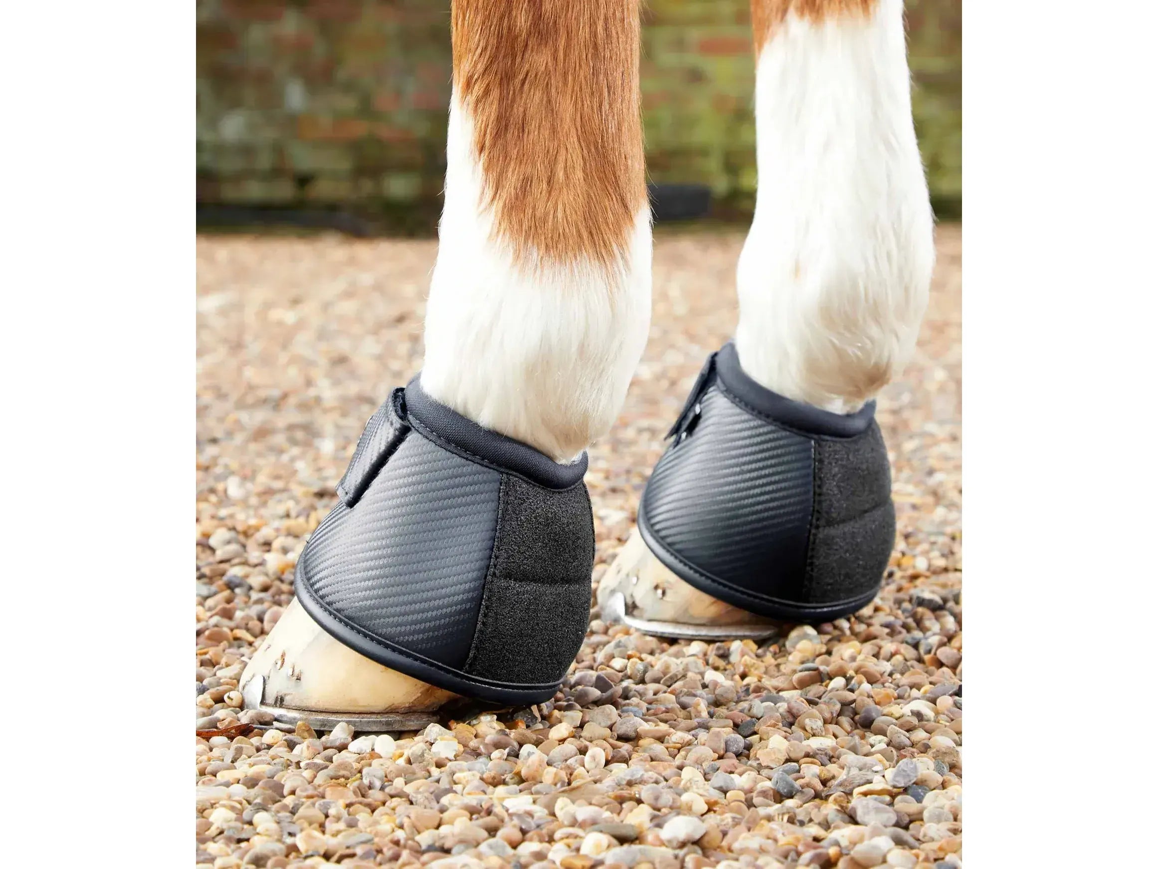 Premier Equine CarbonTech with Kevlar No-Turn OverReach Boots M Black RRP £38.00