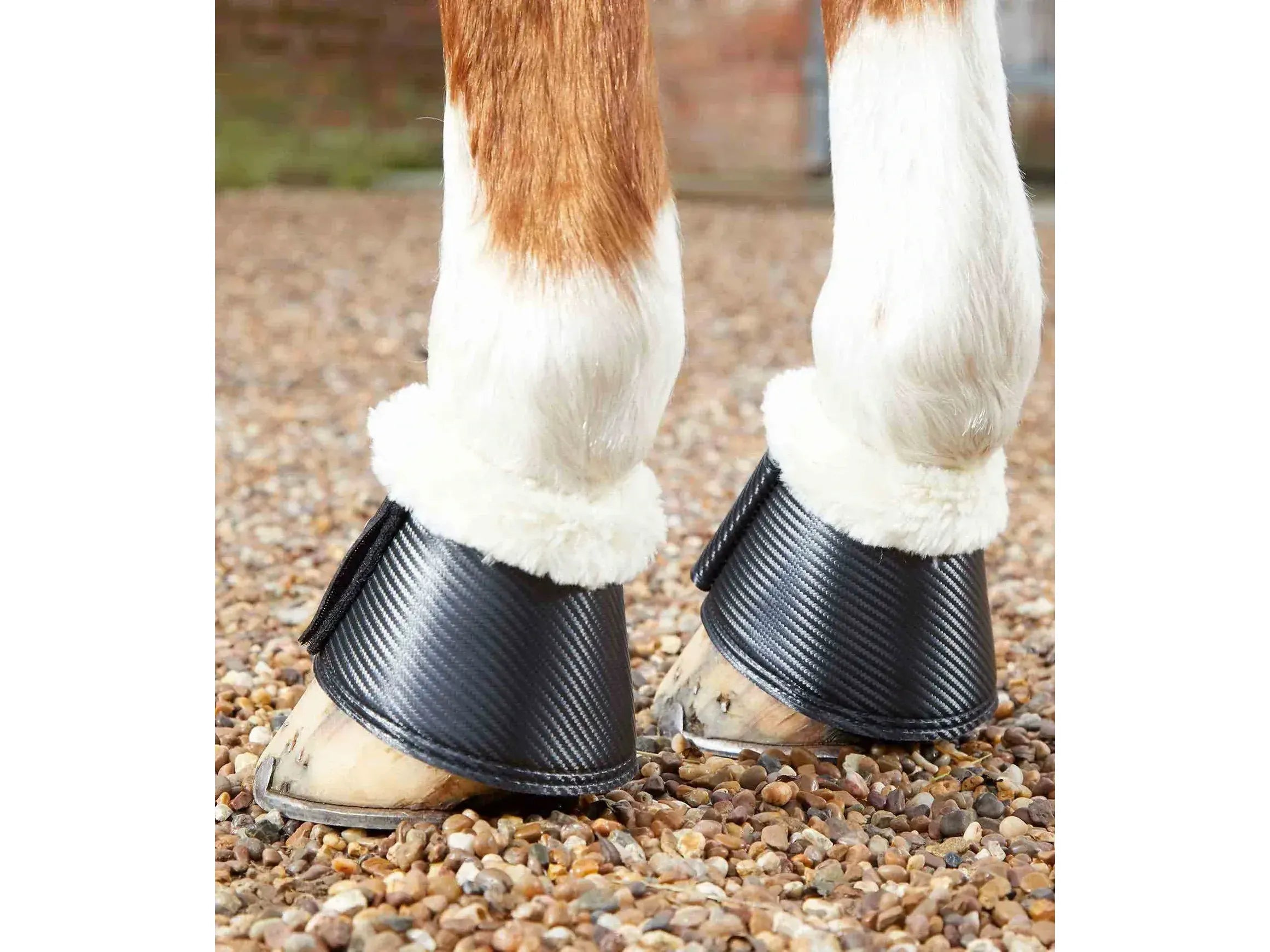 Premier Equine Carbon Tech Techno Wool Over Reach Boots