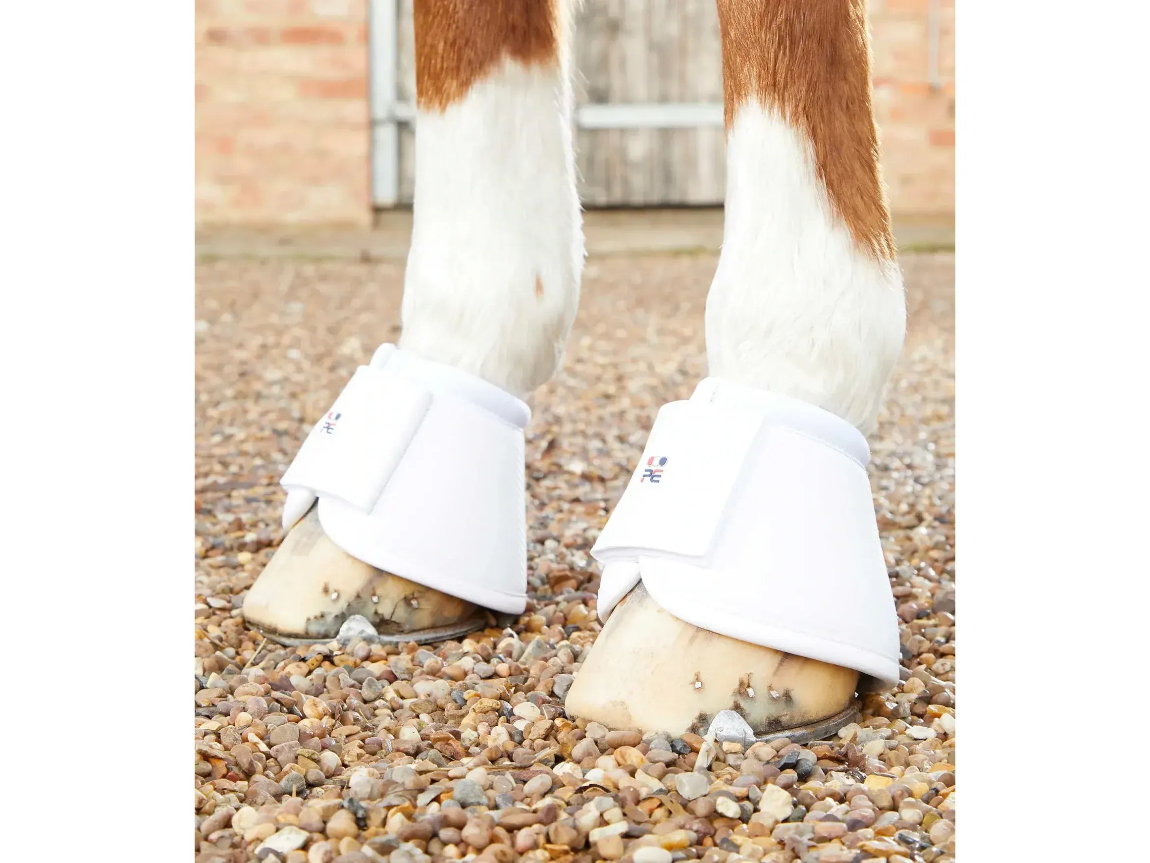 Premier Equine Carbon Wrap Over Reach Boots