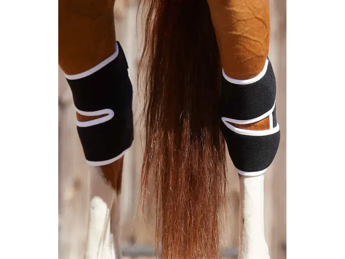 Premier Equine Cascata Ladies Waterproof Jacket