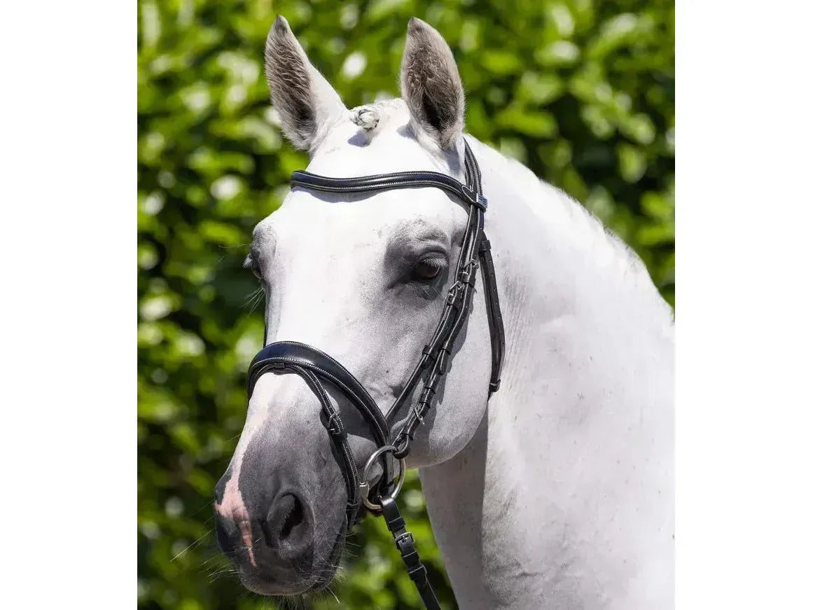 Premier Equine Cassano Snaffle Bridle