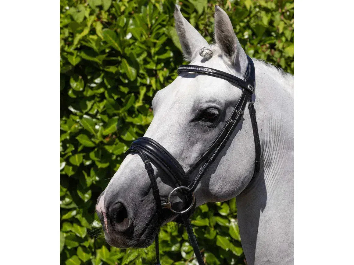 Premier Equine Castello Anatomical Bridle