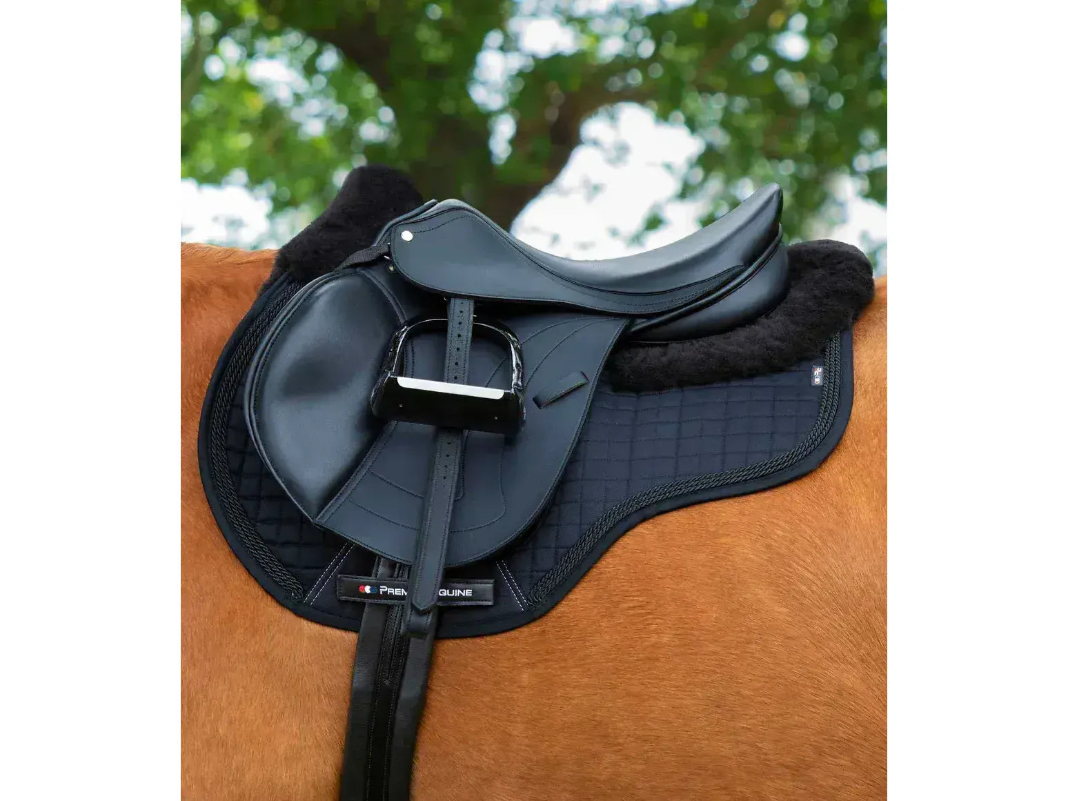 Premier Equine Close Contact Wool Half Lined European GP/Jump Saddle Square