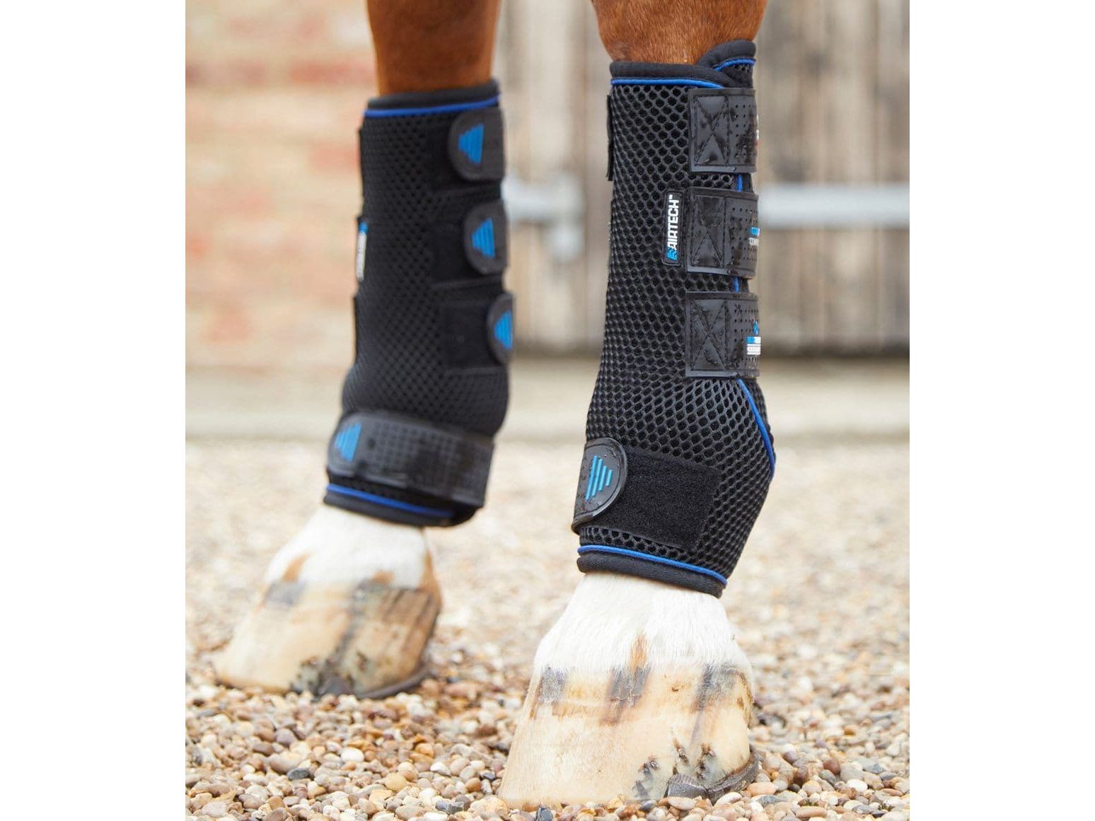 Premier Equine Cold Water Compression Boots